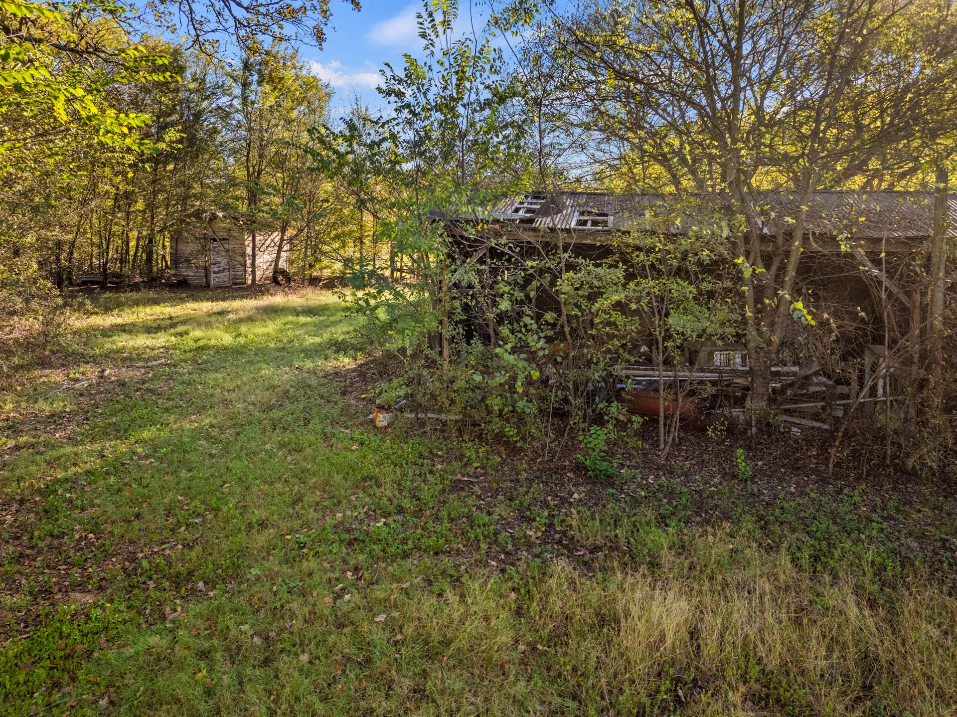 Unimproved Land For Sale in Titus County , TBD FM 1402 15 AC, Mt Pleasant, Texas 75455, 0, 0, Garage spaces, 0 Sqft, built in 0, mls#21351051, Real Estate Agent in Mt Pleasant, Homes For Sale in Titus county, Homes For Sale in Mt Pleasant, Realtor in Mt Pleasant Texas, Real Estate Brokerage Independent Realty Texas, Luminita Cordes Realtor