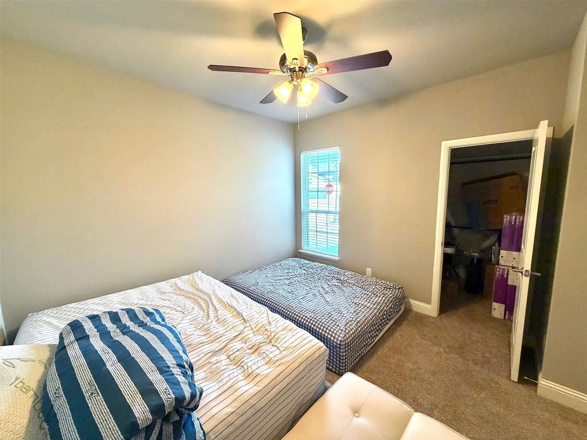 Dual-bedroom layout featuring carpeted flooring, ceiling fan with integrated lighting, and natural light from window