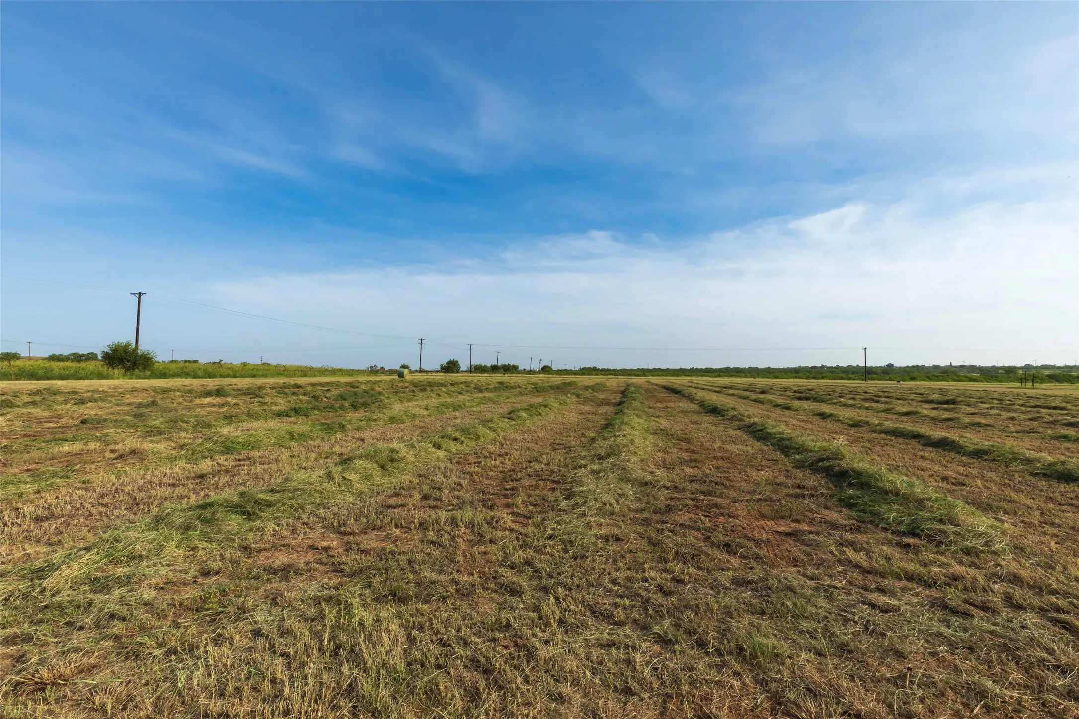 Ranch For Sale in Scurry County , 244 S County Road 221, Snyder, Texas 79549, 0, 0, Garage spaces, 0 Sqft, built in 0, mls#21351061, Real Estate Agent in Snyder, Homes For Sale in Scurry county, Homes For Sale in Snyder, Realtor in Snyder Texas, Real Estate Brokerage Independent Realty Texas, Luminita Cordes Realtor