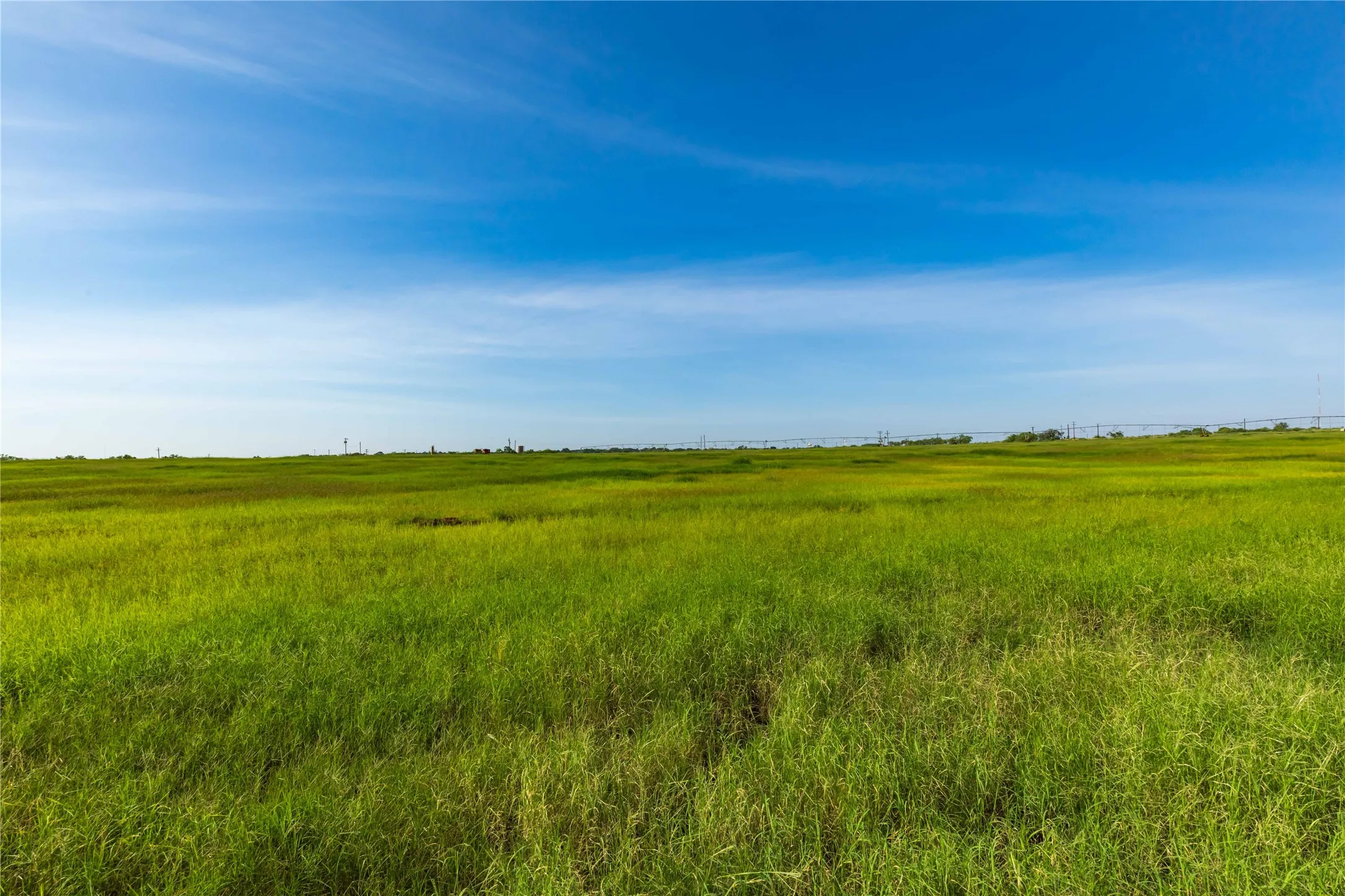 Ranch For Sale in Scurry County , 244 S County Road 221, Snyder, Texas 79549, 0, 0, Garage spaces, 0 Sqft, built in 0, mls#21351061, Real Estate Agent in Snyder, Homes For Sale in Scurry county, Homes For Sale in Snyder, Realtor in Snyder Texas, Real Estate Brokerage Independent Realty Texas, Luminita Cordes Realtor