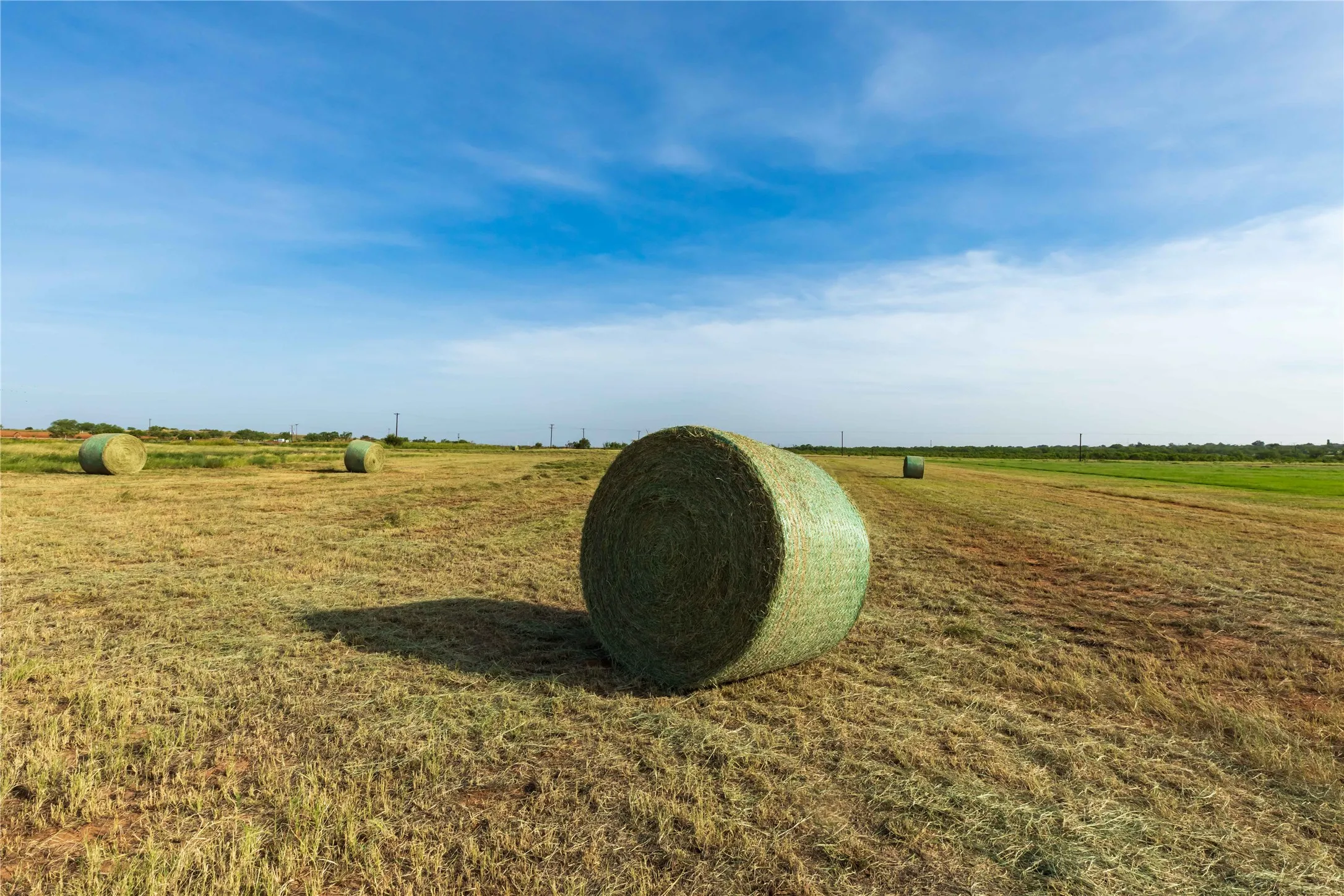 Ranch For Sale in Scurry County , 244 S County Road 221, Snyder, Texas 79549, 0, 0, Garage spaces, 0 Sqft, built in 0, mls#21351061, Real Estate Agent in Snyder, Homes For Sale in Scurry county, Homes For Sale in Snyder, Realtor in Snyder Texas, Real Estate Brokerage Independent Realty Texas, Luminita Cordes Realtor