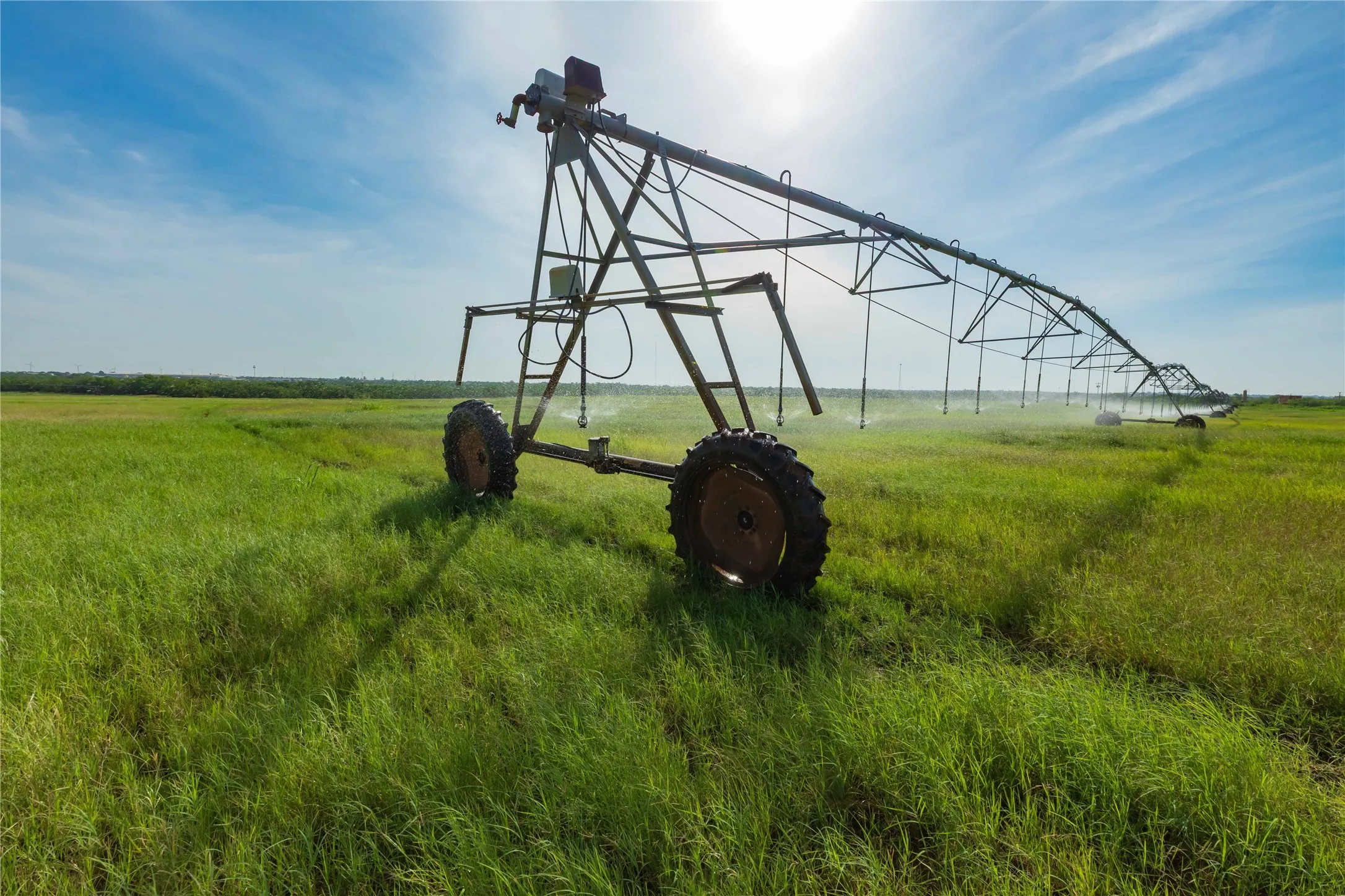 Ranch For Sale in Scurry County , 244 S County Road 221, Snyder, Texas 79549, 0, 0, Garage spaces, 0 Sqft, built in 0, mls#21351061, Real Estate Agent in Snyder, Homes For Sale in Scurry county, Homes For Sale in Snyder, Realtor in Snyder Texas, Real Estate Brokerage Independent Realty Texas, Luminita Cordes Realtor