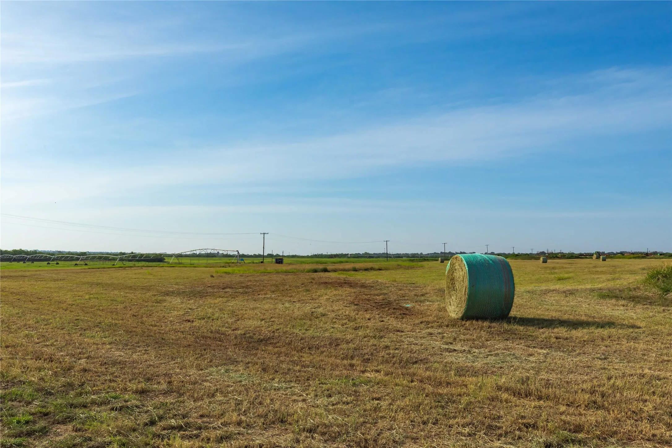 Ranch For Sale in Scurry County , 244 S County Road 221, Snyder, Texas 79549, 0, 0, Garage spaces, 0 Sqft, built in 0, mls#21351061, Real Estate Agent in Snyder, Homes For Sale in Scurry county, Homes For Sale in Snyder, Realtor in Snyder Texas, Real Estate Brokerage Independent Realty Texas, Luminita Cordes Realtor