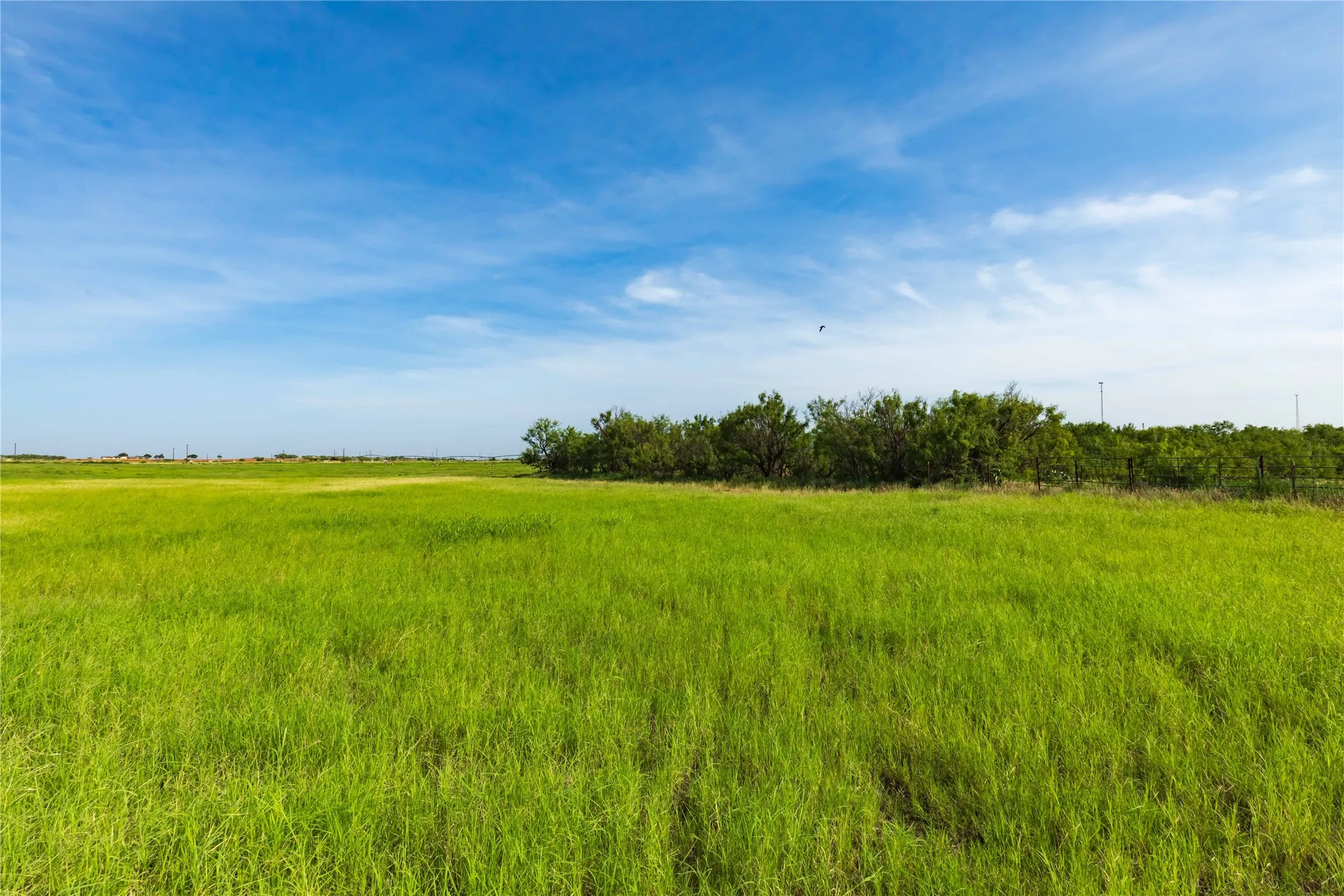 Ranch For Sale in Scurry County , 244 S County Road 221, Snyder, Texas 79549, 0, 0, Garage spaces, 0 Sqft, built in 0, mls#21351061, Real Estate Agent in Snyder, Homes For Sale in Scurry county, Homes For Sale in Snyder, Realtor in Snyder Texas, Real Estate Brokerage Independent Realty Texas, Luminita Cordes Realtor