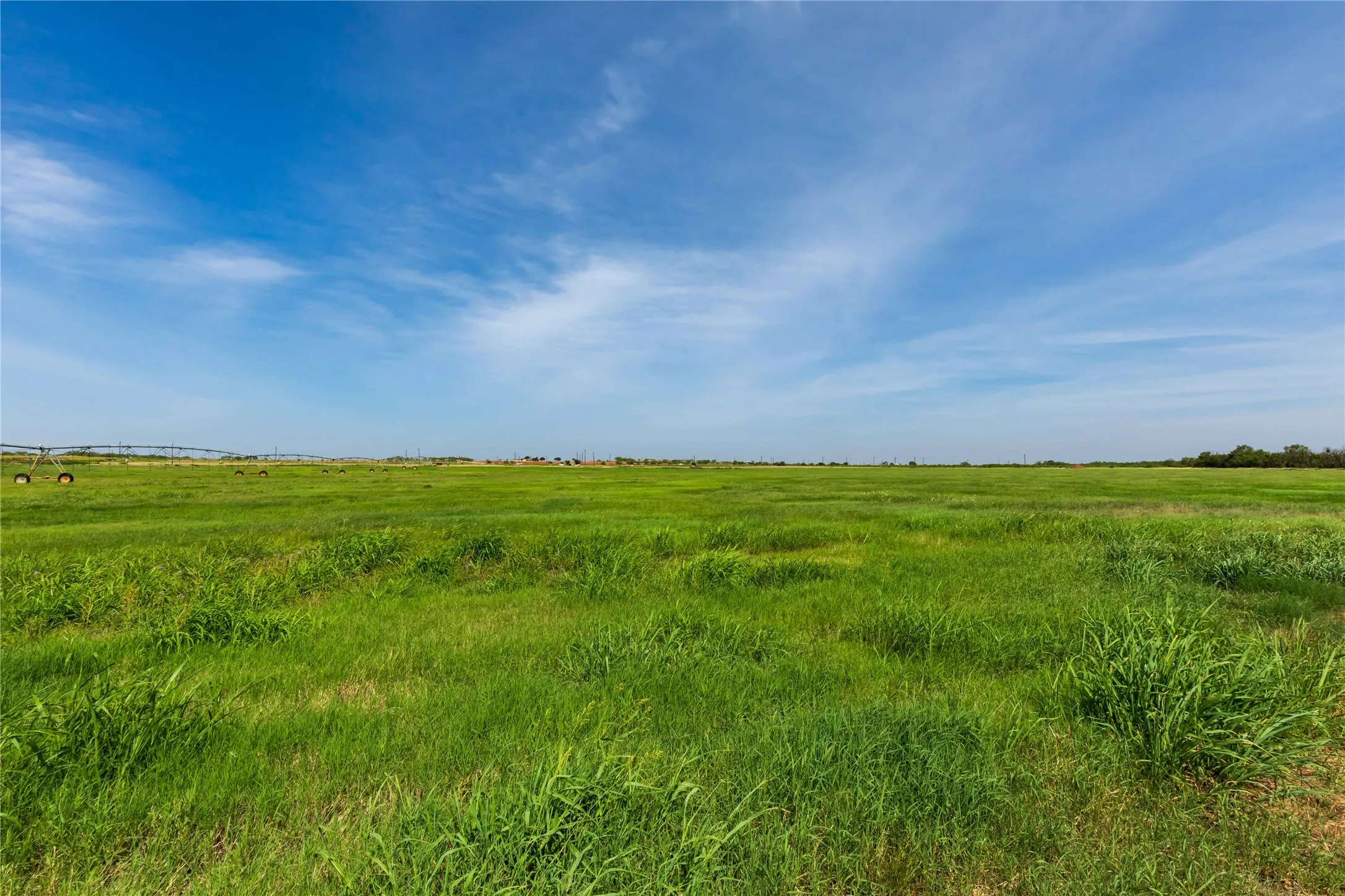 Ranch For Sale in Scurry County , 244 S County Road 221, Snyder, Texas 79549, 0, 0, Garage spaces, 0 Sqft, built in 0, mls#21351061, Real Estate Agent in Snyder, Homes For Sale in Scurry county, Homes For Sale in Snyder, Realtor in Snyder Texas, Real Estate Brokerage Independent Realty Texas, Luminita Cordes Realtor