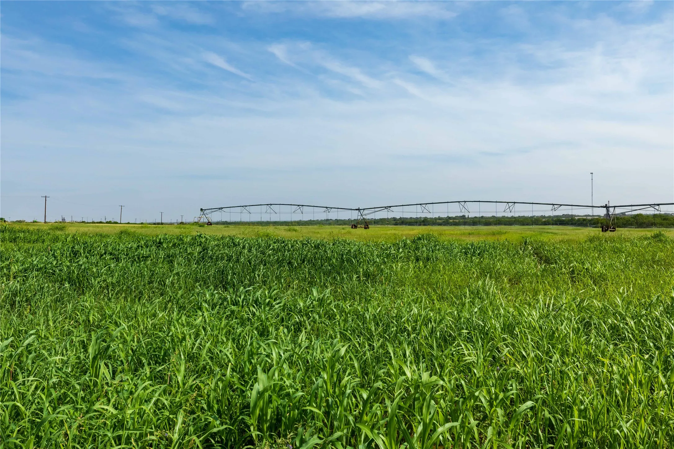 Ranch For Sale in Scurry County , 244 S County Road 221, Snyder, Texas 79549, 0, 0, Garage spaces, 0 Sqft, built in 0, mls#21351061, Real Estate Agent in Snyder, Homes For Sale in Scurry county, Homes For Sale in Snyder, Realtor in Snyder Texas, Real Estate Brokerage Independent Realty Texas, Luminita Cordes Realtor