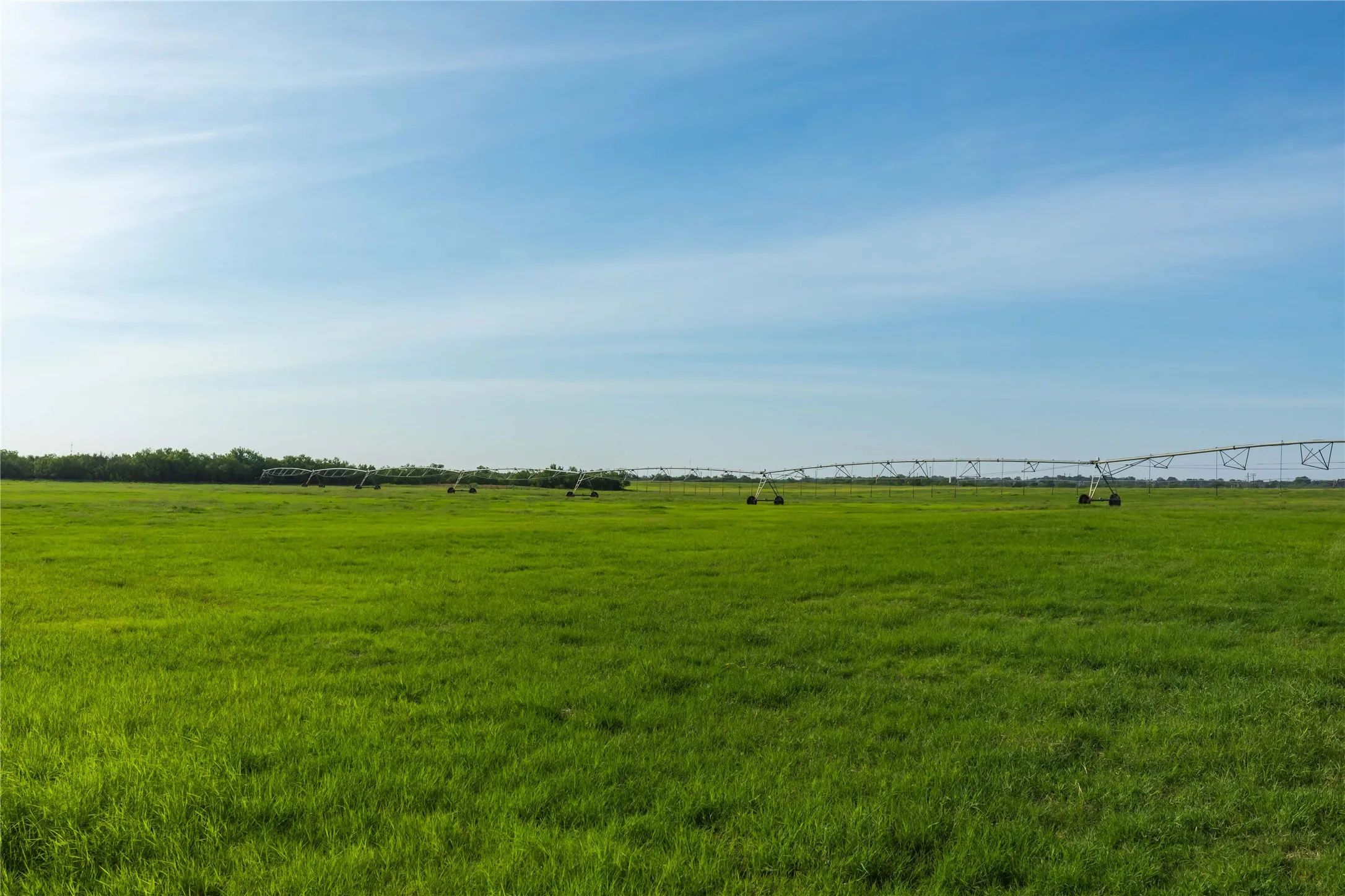Ranch For Sale in Scurry County , 244 S County Road 221, Snyder, Texas 79549, 0, 0, Garage spaces, 0 Sqft, built in 0, mls#21351061, Real Estate Agent in Snyder, Homes For Sale in Scurry county, Homes For Sale in Snyder, Realtor in Snyder Texas, Real Estate Brokerage Independent Realty Texas, Luminita Cordes Realtor