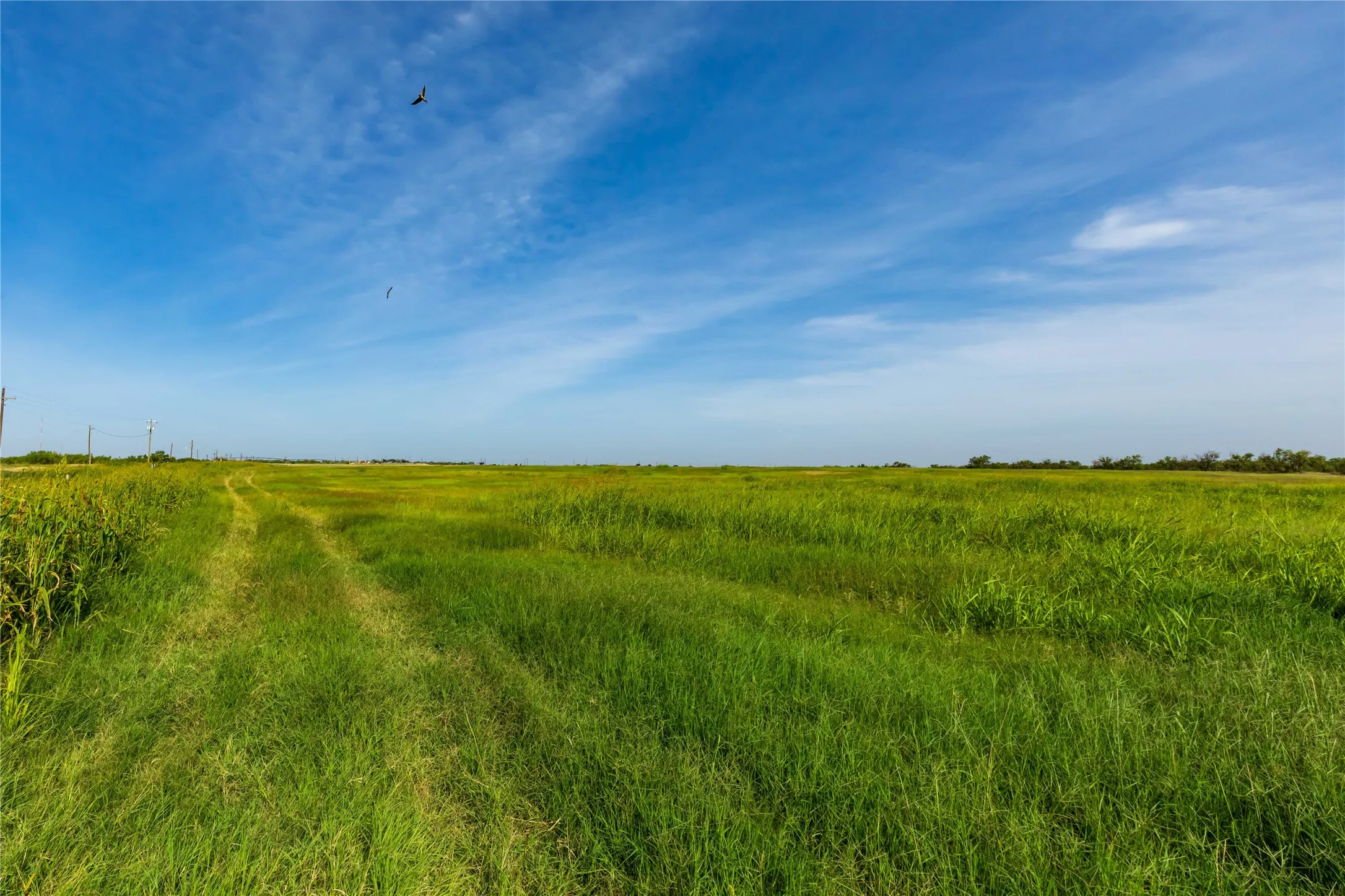 Ranch For Sale in Scurry County , 244 S County Road 221, Snyder, Texas 79549, 0, 0, Garage spaces, 0 Sqft, built in 0, mls#21351061, Real Estate Agent in Snyder, Homes For Sale in Scurry county, Homes For Sale in Snyder, Realtor in Snyder Texas, Real Estate Brokerage Independent Realty Texas, Luminita Cordes Realtor