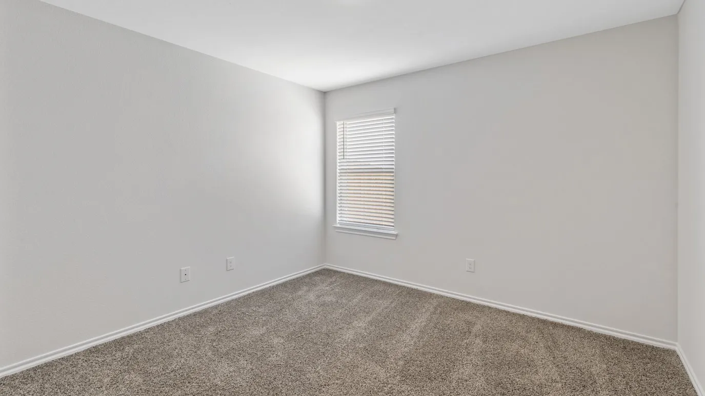 Neutral-toned room featuring a single window with blinds, light gray textured walls, and a textured gray carpet