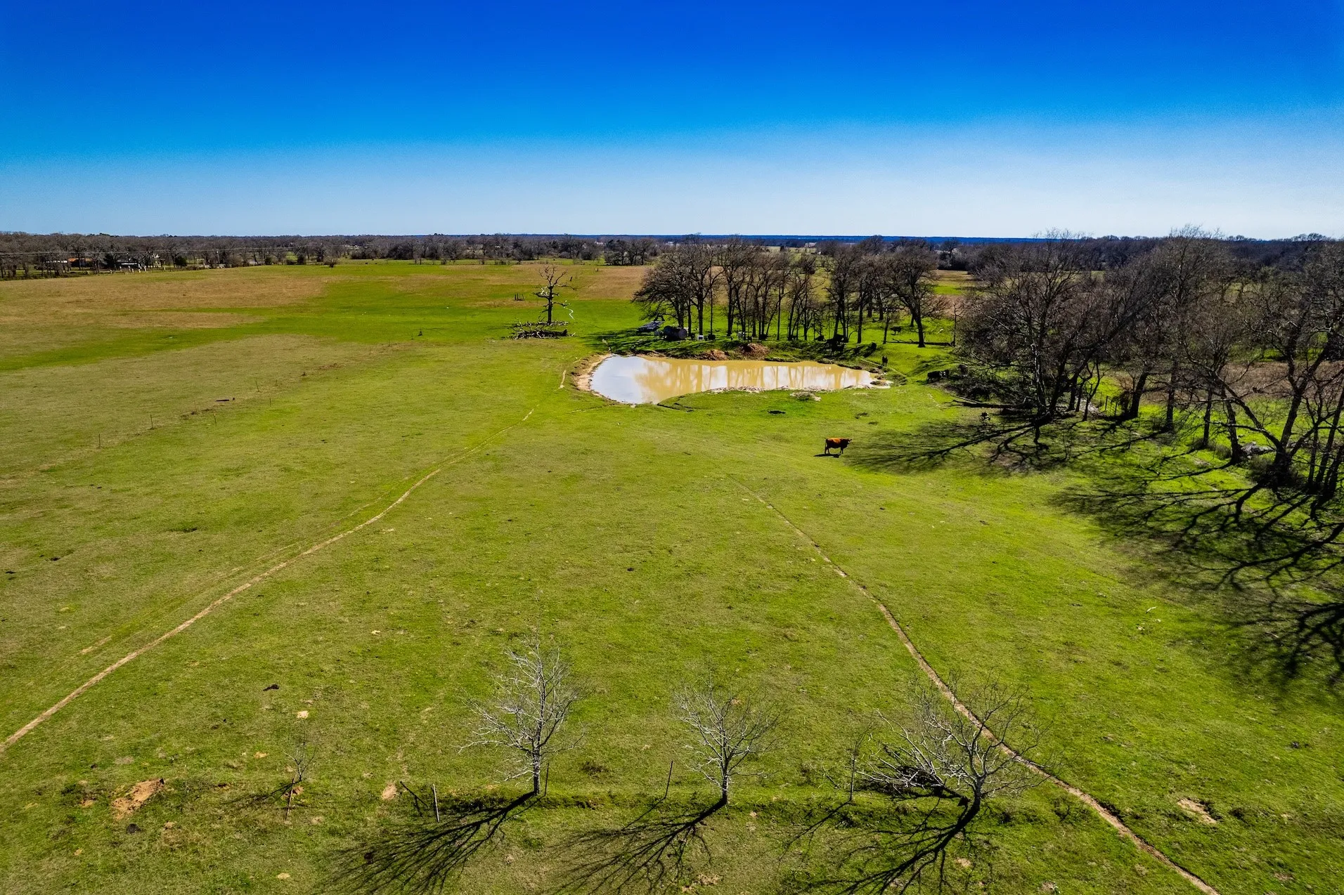 Unimproved Land For Sale in Henderson County , TBD Tract B Flag Lake Road, Kemp, Texas 75143, 0, 0, Garage spaces, 0 Sqft, built in 0, Price $179,900, mls#21351023, Real Estate Agent in Kemp, Homes For Sale in Henderson county, Homes For Sale in Kemp, Realtor in Kemp Texas, Real Estate Brokerage Independent Realty Texas, Luminita Cordes Realtor