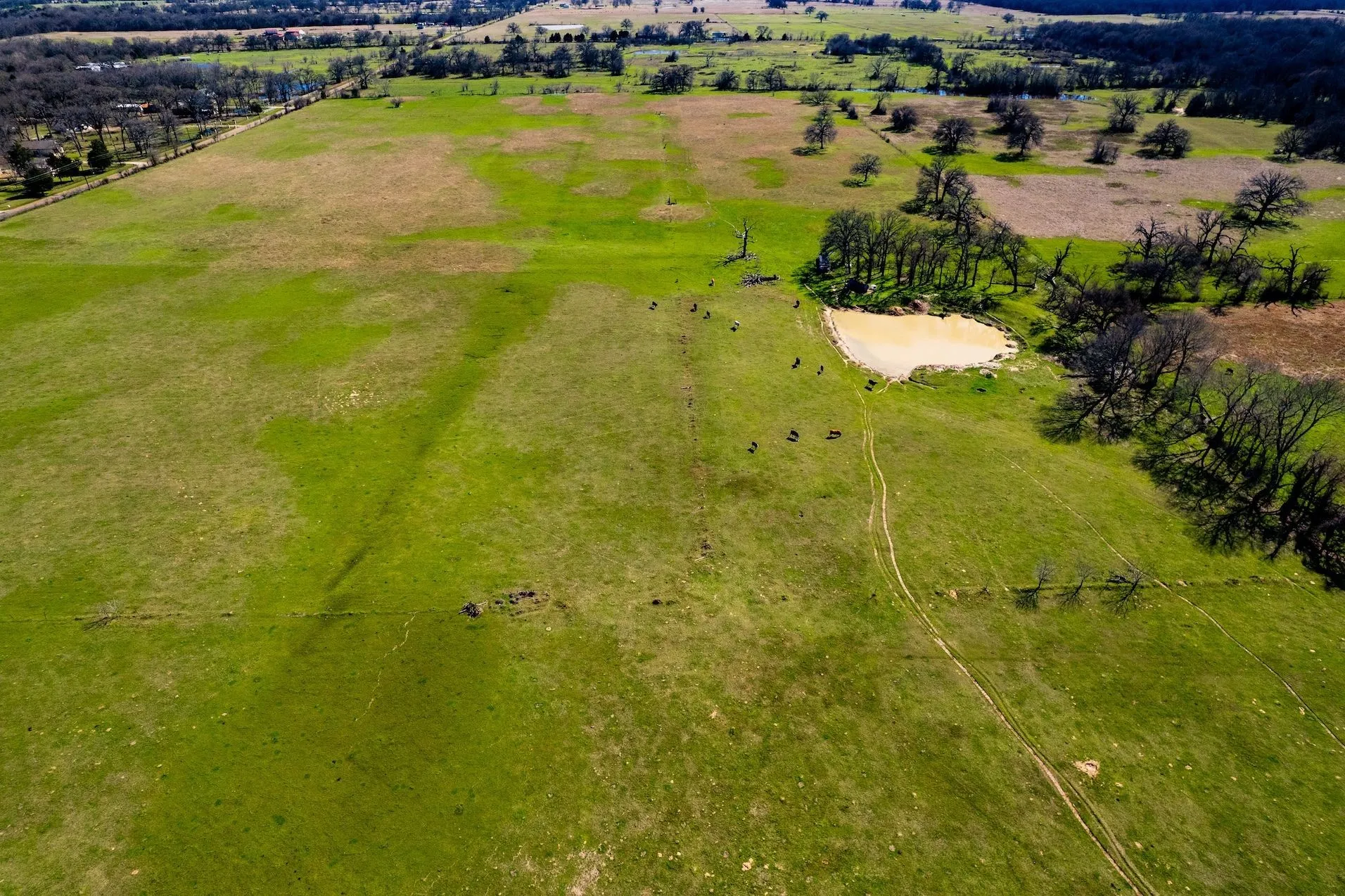 Unimproved Land For Sale in Henderson County , TBD Tract B Flag Lake Road, Kemp, Texas 75143, 0, 0, Garage spaces, 0 Sqft, built in 0, Price $179,900, mls#21351023, Real Estate Agent in Kemp, Homes For Sale in Henderson county, Homes For Sale in Kemp, Realtor in Kemp Texas, Real Estate Brokerage Independent Realty Texas, Luminita Cordes Realtor