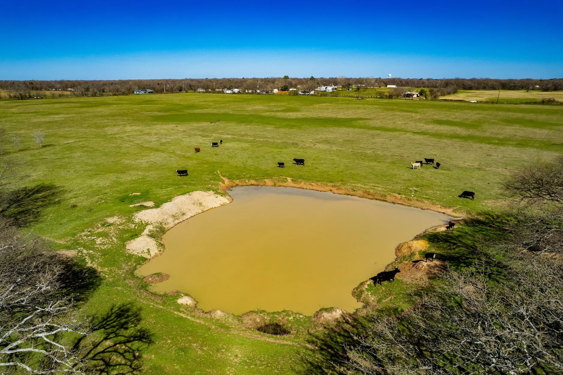 Unimproved Land For Sale in Henderson County , TBD Tract B Flag Lake Road, Kemp, Texas 75143, 0, 0, Garage spaces, 0 Sqft, built in 0, Price $179,900, mls#21351023, Real Estate Agent in Kemp, Homes For Sale in Henderson county, Homes For Sale in Kemp, Realtor in Kemp Texas, Real Estate Brokerage Independent Realty Texas, Luminita Cordes Realtor
