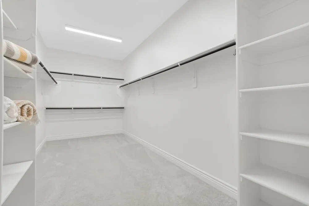 Big Walk in Closet with Carpeting and lots of Light