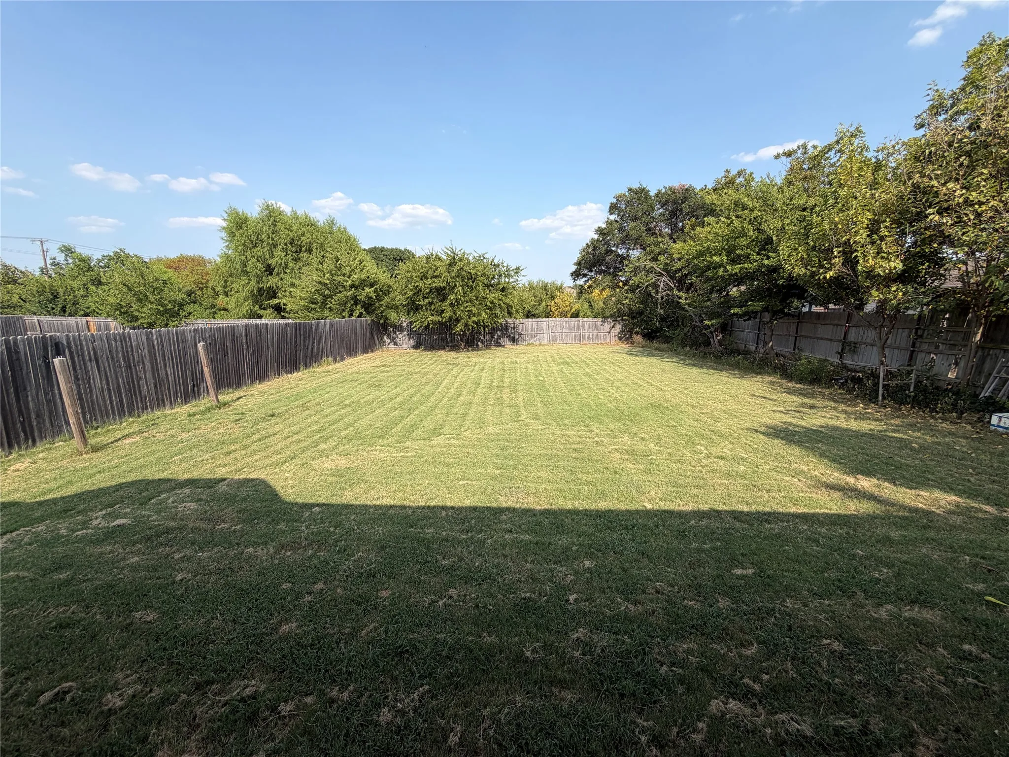 Expansive backyard featuring a large green lawn, mature perimeter trees, and a privacy fence
