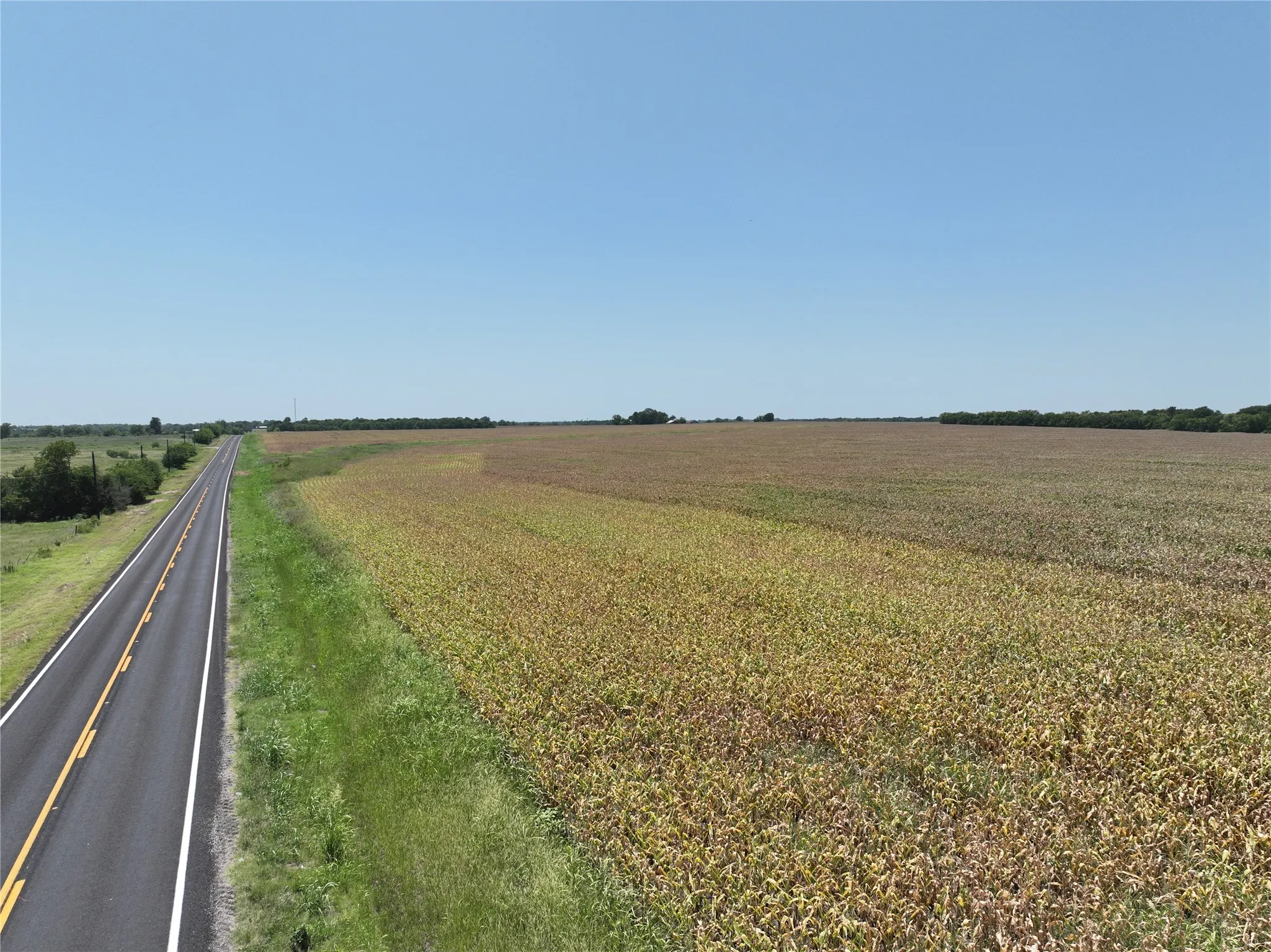 Unimproved Land For Sale in Hunt County , 157 Acres FM 904, Ladonia, Texas 75449, 0, 0, Garage spaces, 0 Sqft, built in 1962, mls#21347123, Real Estate Agent in Ladonia, Homes For Sale in Hunt county, Homes For Sale in Ladonia, Realtor in Ladonia Texas, Real Estate Brokerage Independent Realty Texas, Luminita Cordes Realtor
