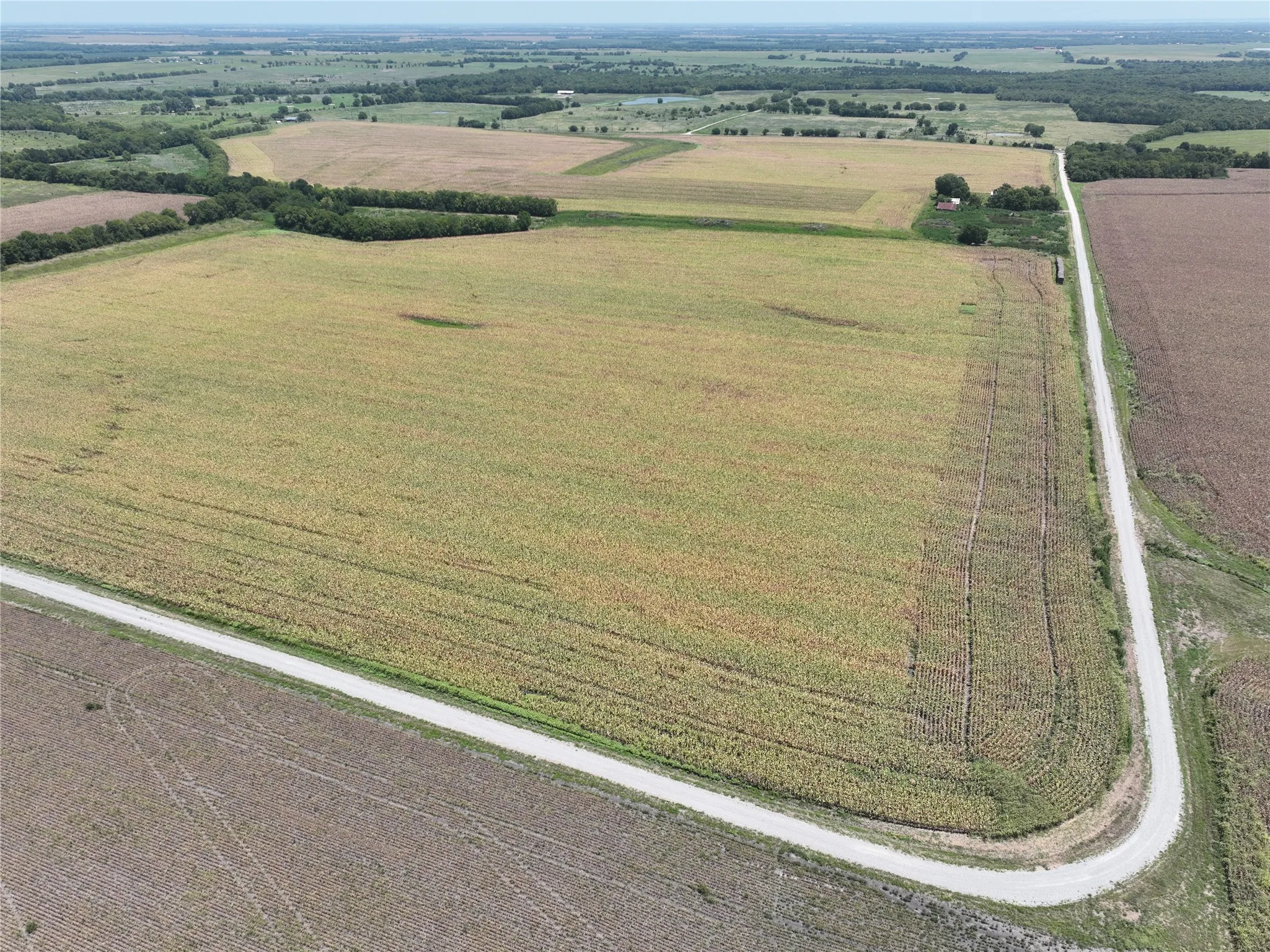 Unimproved Land For Sale in Hunt County , 157 Acres FM 904, Ladonia, Texas 75449, 0, 0, Garage spaces, 0 Sqft, built in 1962, mls#21347123, Real Estate Agent in Ladonia, Homes For Sale in Hunt county, Homes For Sale in Ladonia, Realtor in Ladonia Texas, Real Estate Brokerage Independent Realty Texas, Luminita Cordes Realtor