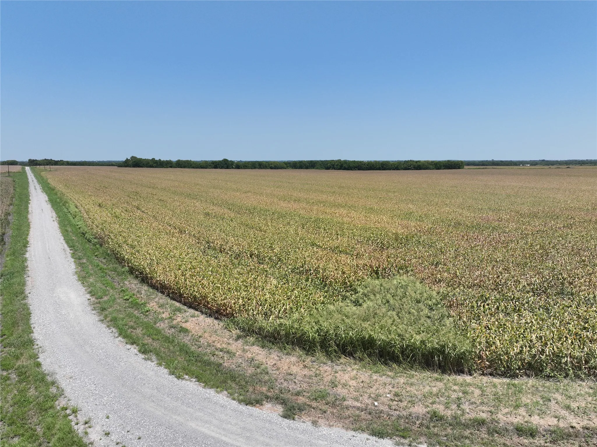 Unimproved Land For Sale in Hunt County , 157 Acres FM 904, Ladonia, Texas 75449, 0, 0, Garage spaces, 0 Sqft, built in 1962, mls#21347123, Real Estate Agent in Ladonia, Homes For Sale in Hunt county, Homes For Sale in Ladonia, Realtor in Ladonia Texas, Real Estate Brokerage Independent Realty Texas, Luminita Cordes Realtor
