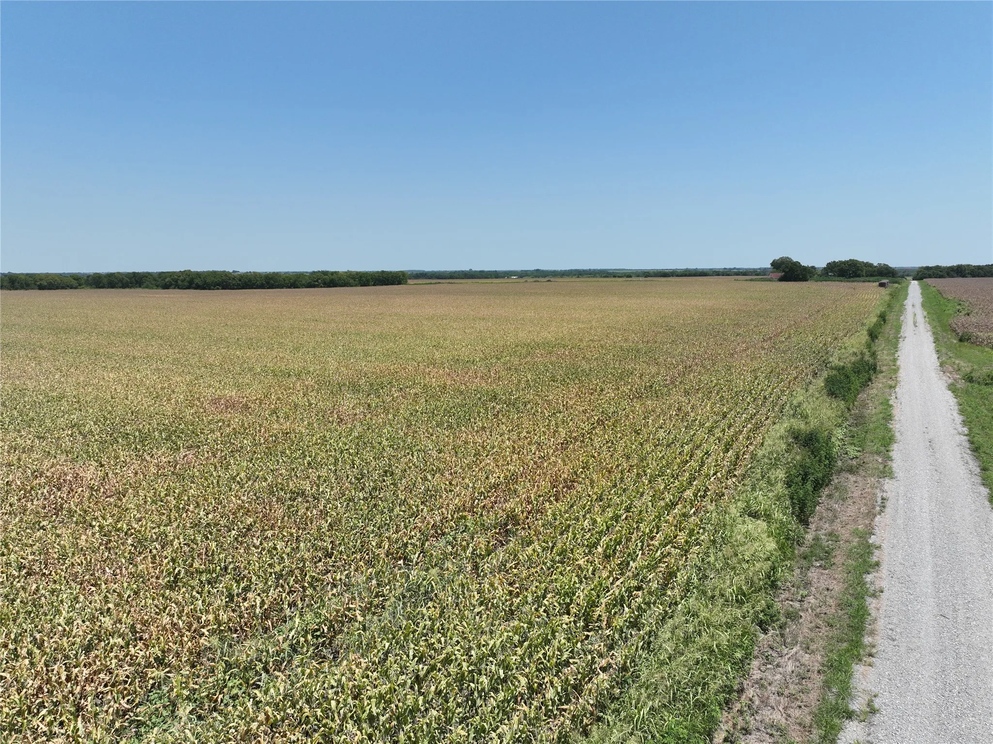 Unimproved Land For Sale in Hunt County , 157 Acres FM 904, Ladonia, Texas 75449, 0, 0, Garage spaces, 0 Sqft, built in 1962, mls#21347123, Real Estate Agent in Ladonia, Homes For Sale in Hunt county, Homes For Sale in Ladonia, Realtor in Ladonia Texas, Real Estate Brokerage Independent Realty Texas, Luminita Cordes Realtor