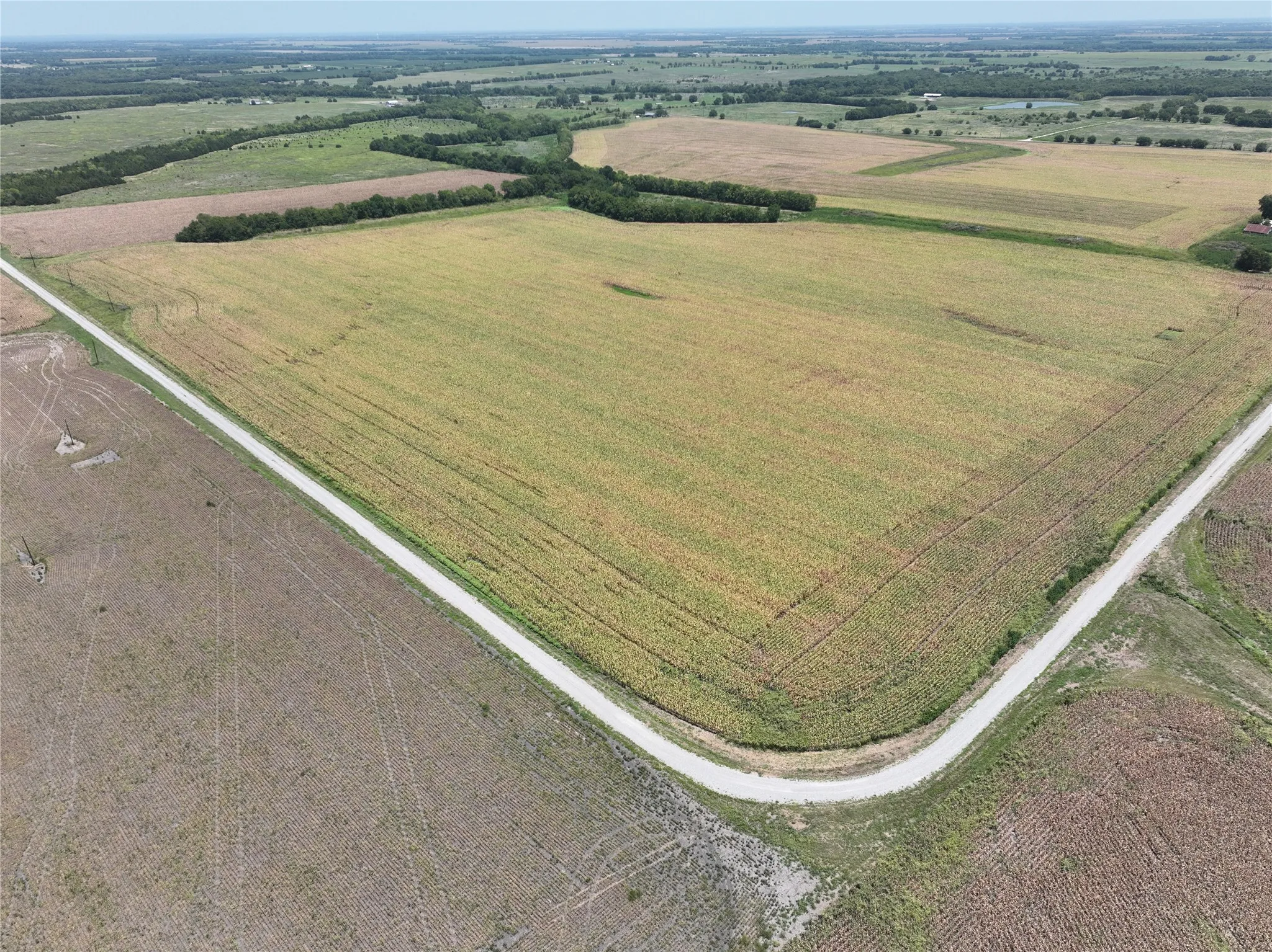 Unimproved Land For Sale in Hunt County , 157 Acres FM 904, Ladonia, Texas 75449, 0, 0, Garage spaces, 0 Sqft, built in 1962, mls#21347123, Real Estate Agent in Ladonia, Homes For Sale in Hunt county, Homes For Sale in Ladonia, Realtor in Ladonia Texas, Real Estate Brokerage Independent Realty Texas, Luminita Cordes Realtor