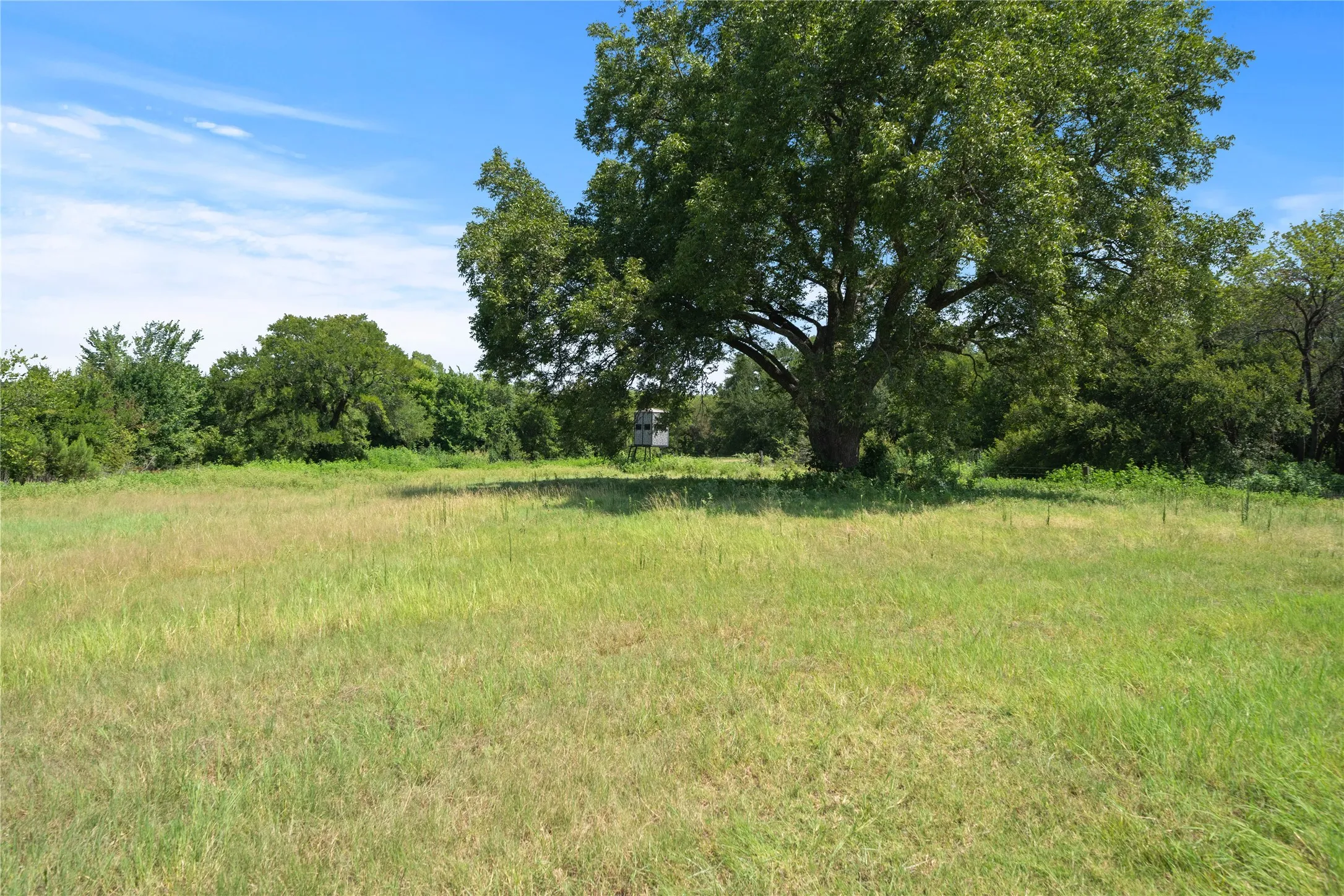 Back pasture that has lots of deer, turkey, lots of wildlife