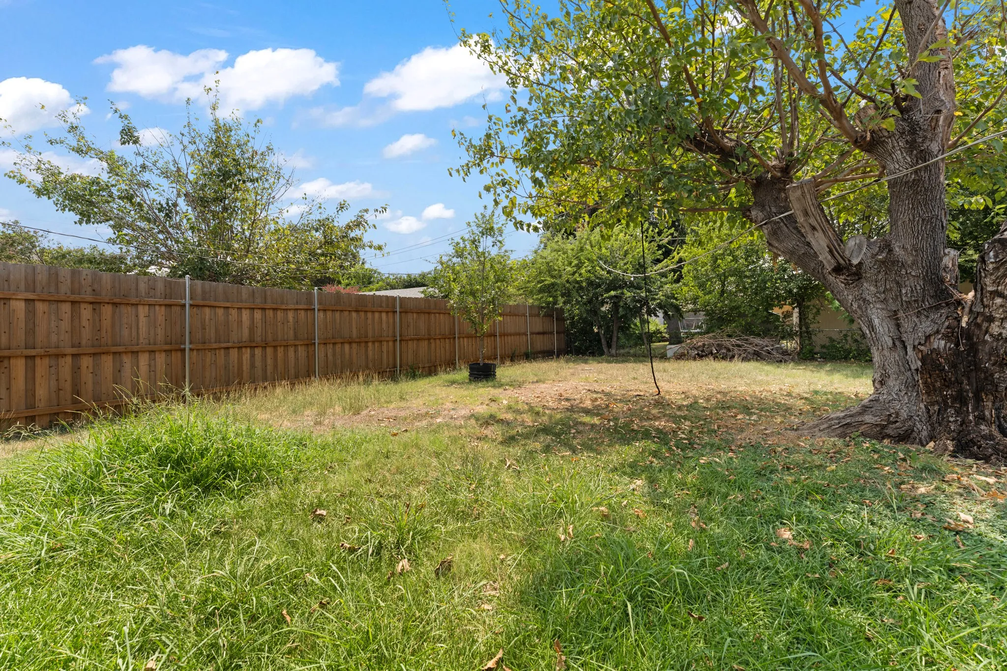 Spacious backyard featuring mature shade trees, established green lawn, and sturdy wood-finish perimeter fencing