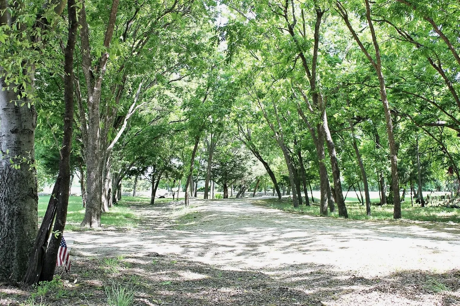 Single Family Residence For Sale in Kaufman County , 15265 Markout Central, Forney, Texas 75126, 4 Bedroom, 4 Bathroom, 1 Garage spaces, 4,103 Sqft, built in 1998, mls#21350952, Real Estate Agent in Forney, Homes For Sale in Kaufman county, Homes For Sale in Forney, Realtor in Forney Texas, Real Estate Brokerage Independent Realty Texas, Luminita Cordes Realtor