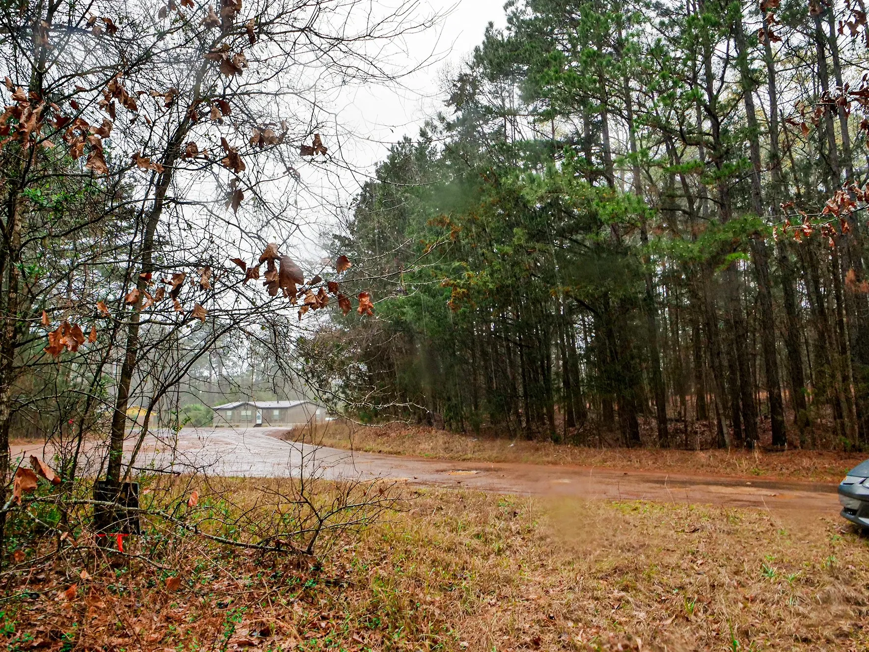 Unimproved Land For Sale in Cass County , TBD County Road 2339, Marietta, Texas 75566, 0, 0, Garage spaces, 0 Sqft, built in 0, mls#21351350, Real Estate Agent in Marietta, Homes For Sale in Cass county, Homes For Sale in Marietta, Realtor in Marietta Texas, Real Estate Brokerage Independent Realty Texas, Luminita Cordes Realtor