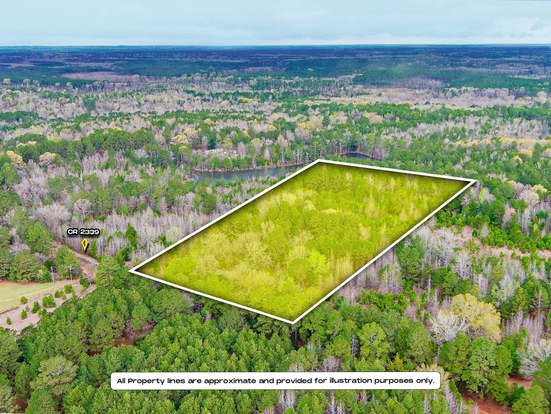 Unimproved Land For Sale in Cass County , TBD County Road 2339, Marietta, Texas 75566, 0, 0, Garage spaces, 0 Sqft, built in 0, mls#21351350, Real Estate Agent in Marietta, Homes For Sale in Cass county, Homes For Sale in Marietta, Realtor in Marietta Texas, Real Estate Brokerage Independent Realty Texas, Luminita Cordes Realtor