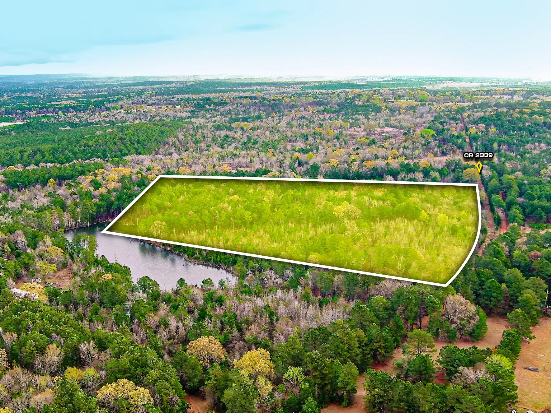 Unimproved Land For Sale in Cass County , TBD County Road 2339, Marietta, Texas 75566, 0, 0, Garage spaces, 0 Sqft, built in 0, mls#21351350, Real Estate Agent in Marietta, Homes For Sale in Cass county, Homes For Sale in Marietta, Realtor in Marietta Texas, Real Estate Brokerage Independent Realty Texas, Luminita Cordes Realtor