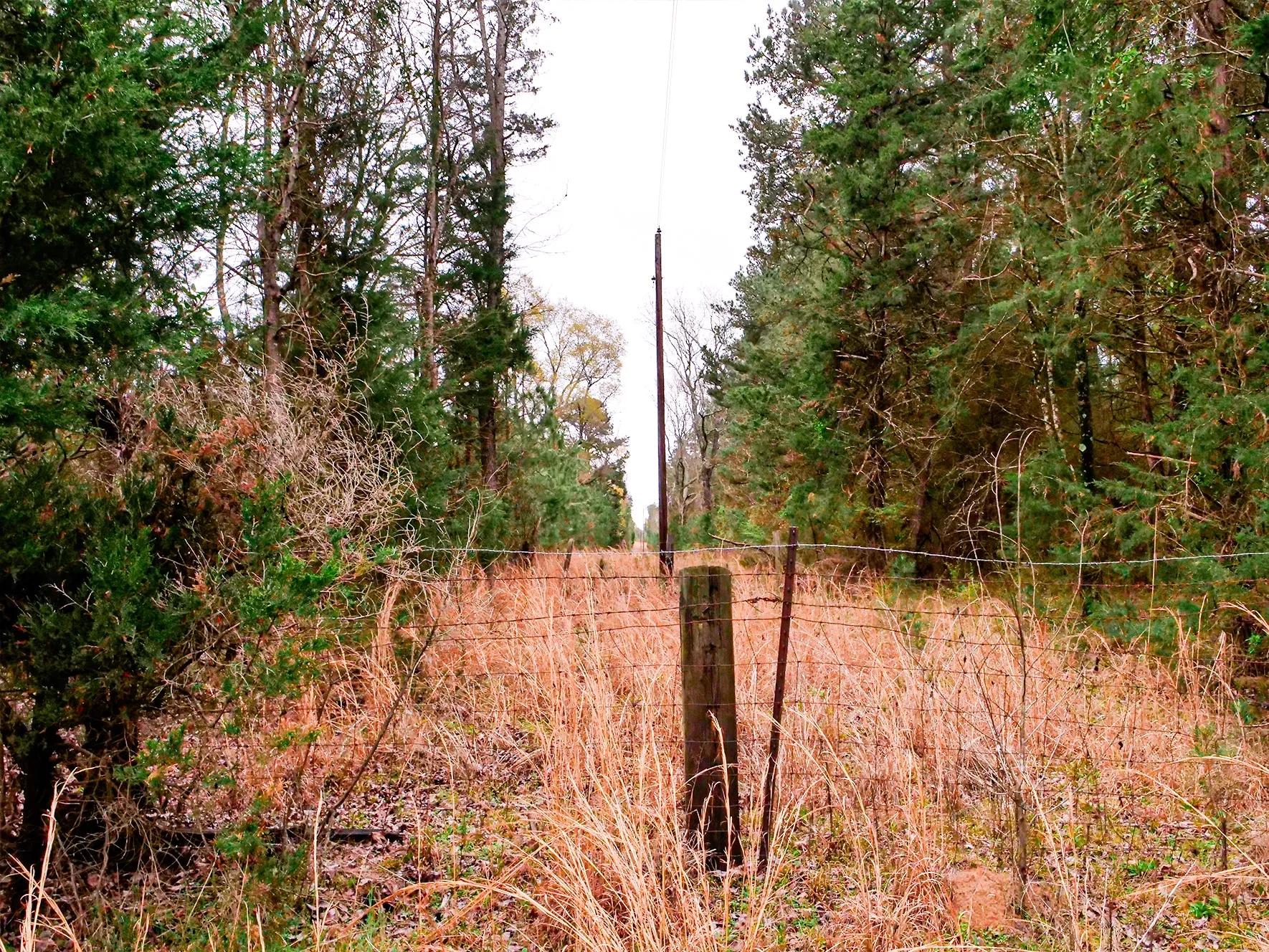 Unimproved Land For Sale in Cass County , TBD County Road 2339, Marietta, Texas 75566, 0, 0, Garage spaces, 0 Sqft, built in 0, mls#21351350, Real Estate Agent in Marietta, Homes For Sale in Cass county, Homes For Sale in Marietta, Realtor in Marietta Texas, Real Estate Brokerage Independent Realty Texas, Luminita Cordes Realtor