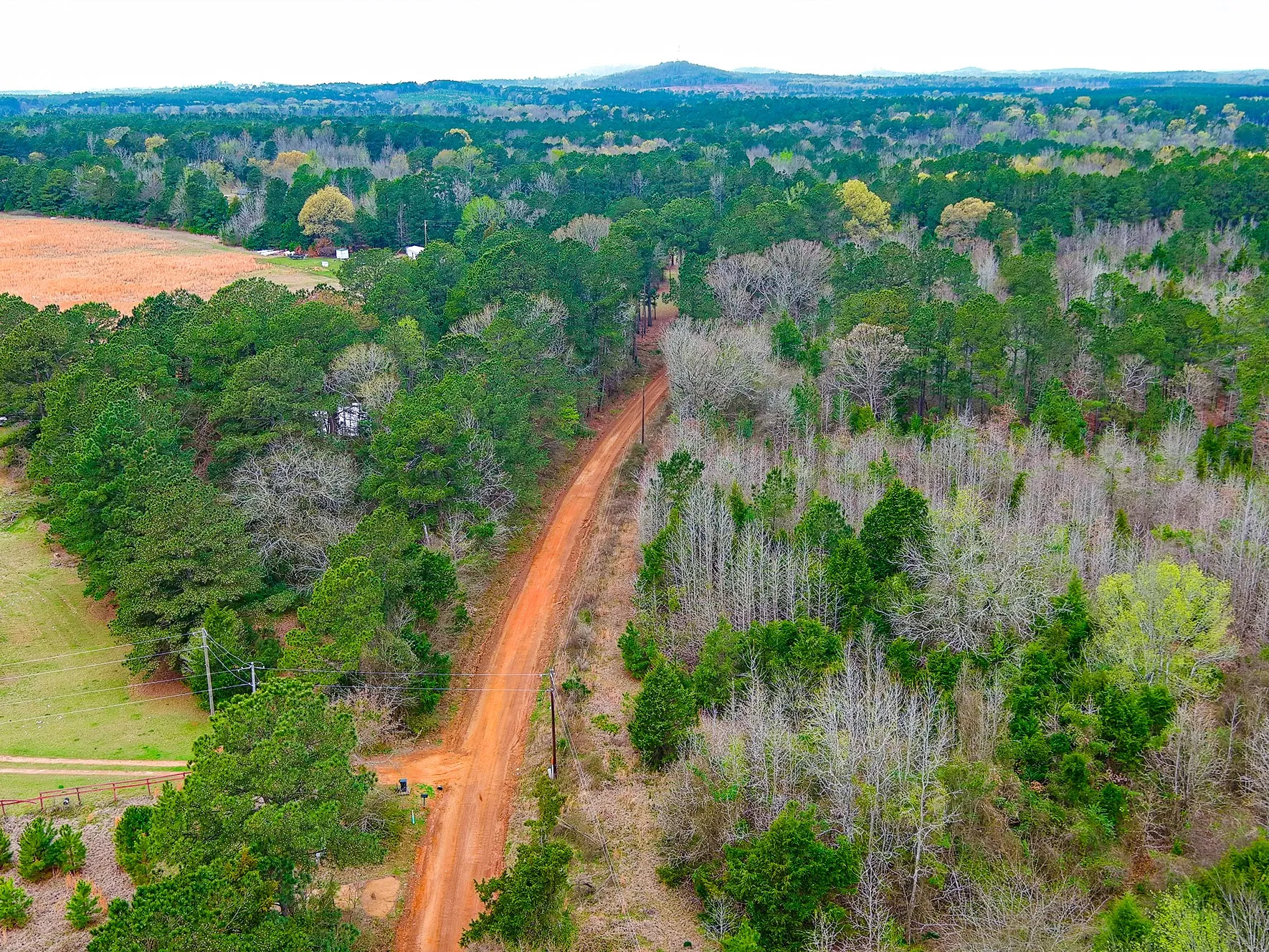 Unimproved Land For Sale in Cass County , TBD County Road 2339, Marietta, Texas 75566, 0, 0, Garage spaces, 0 Sqft, built in 0, mls#21351350, Real Estate Agent in Marietta, Homes For Sale in Cass county, Homes For Sale in Marietta, Realtor in Marietta Texas, Real Estate Brokerage Independent Realty Texas, Luminita Cordes Realtor
