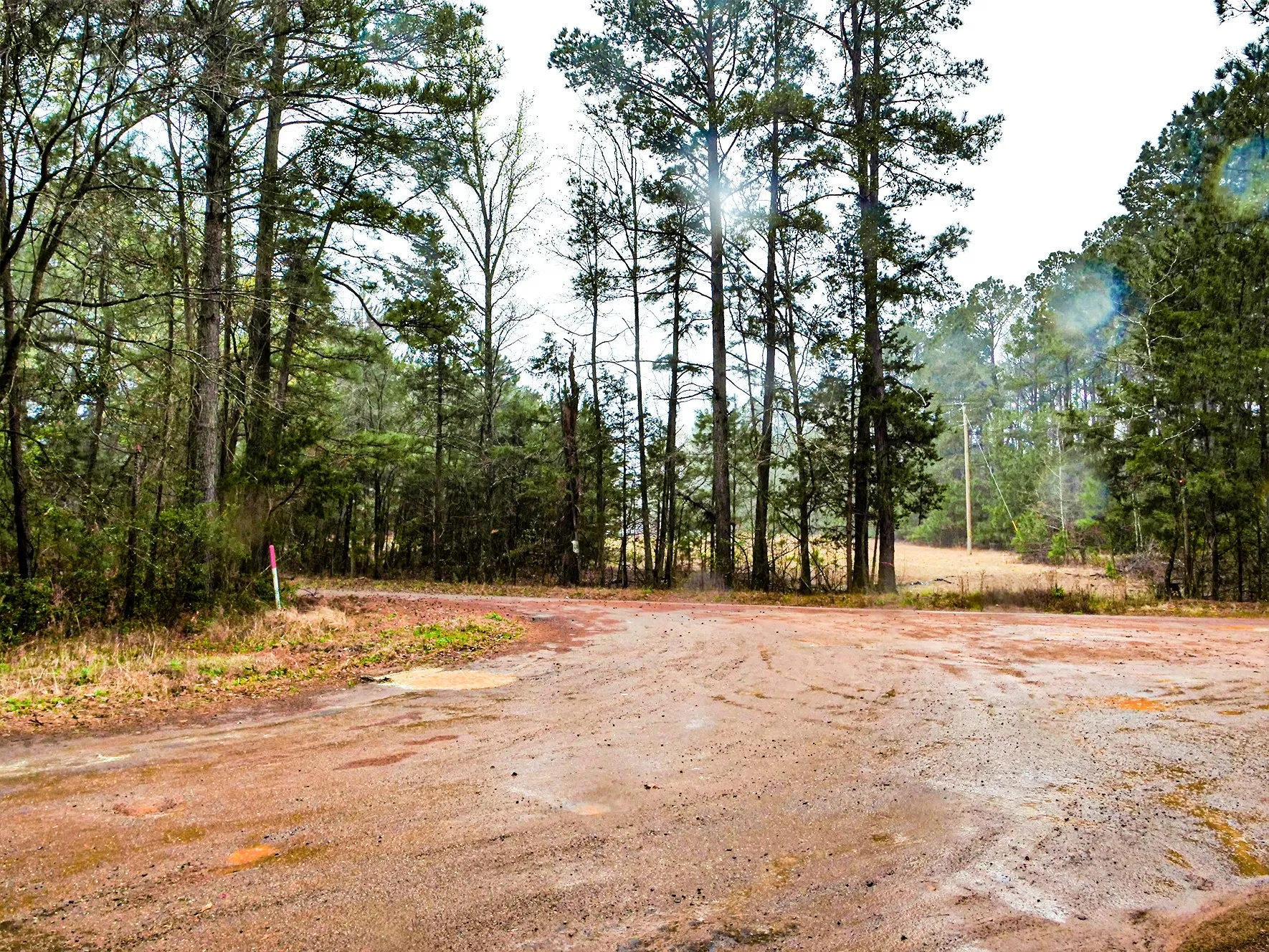 Unimproved Land For Sale in Cass County , TBD County Road 2339, Marietta, Texas 75566, 0, 0, Garage spaces, 0 Sqft, built in 0, mls#21351350, Real Estate Agent in Marietta, Homes For Sale in Cass county, Homes For Sale in Marietta, Realtor in Marietta Texas, Real Estate Brokerage Independent Realty Texas, Luminita Cordes Realtor