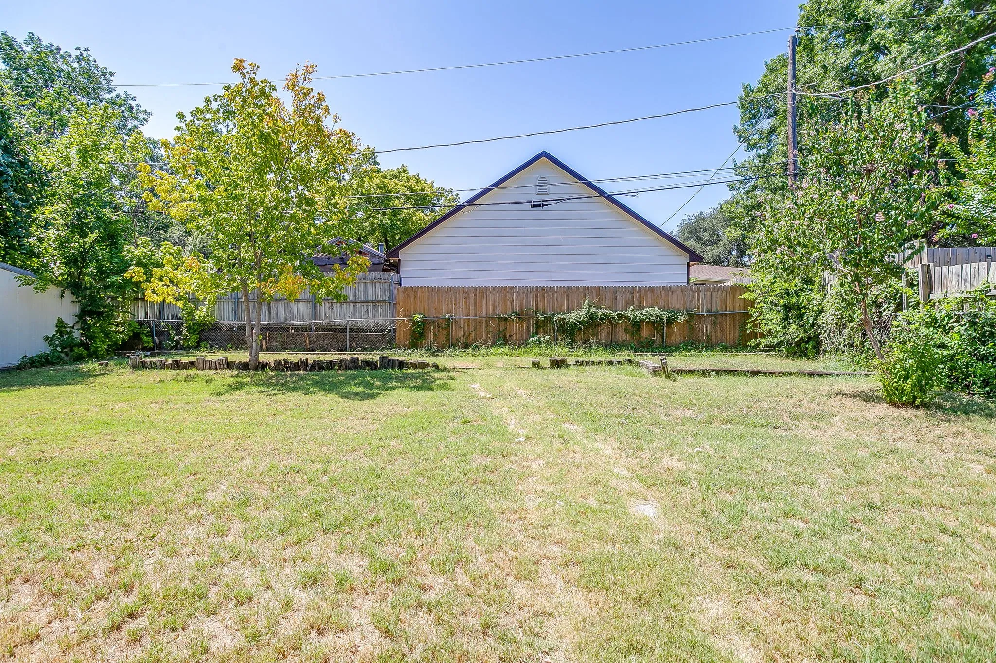 Expansive backyard featuring a central deciduous tree, a perimeter wooden fence, and additional mature foliage