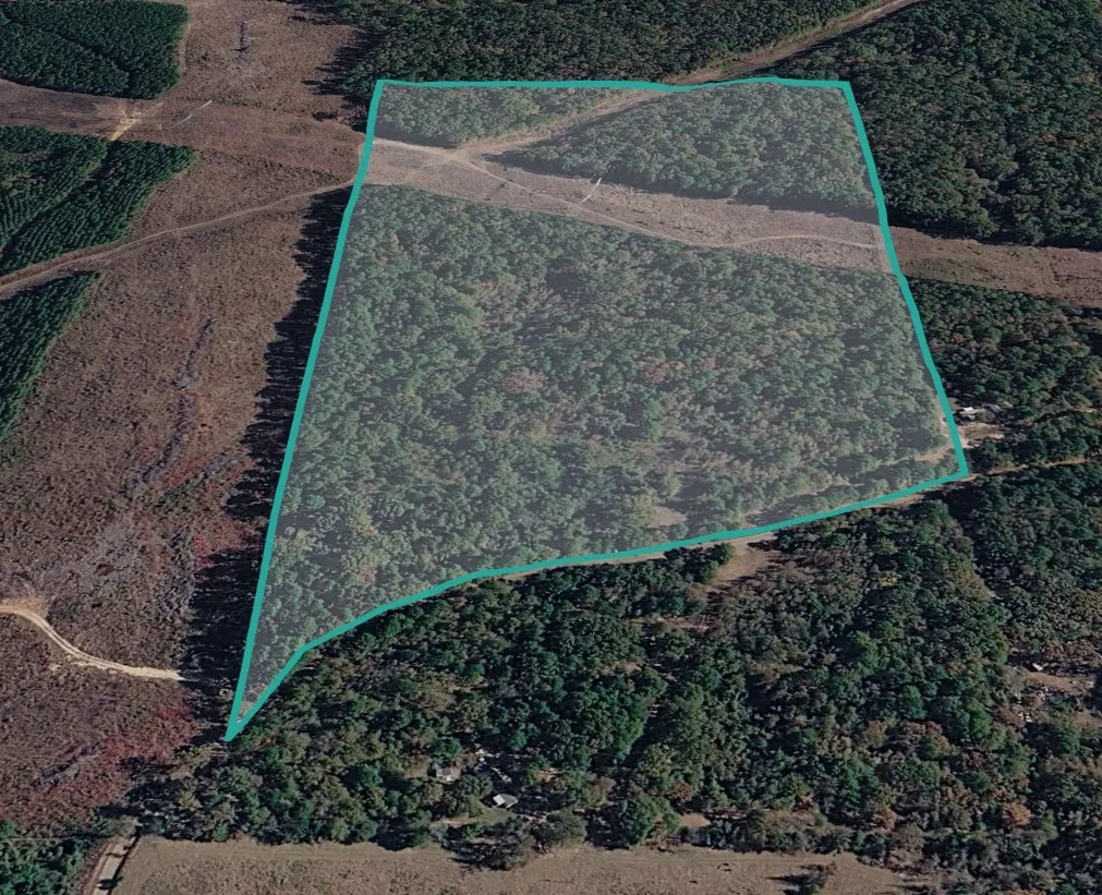 Unimproved Land For Sale in Camp County , TBD40 CR 4244, Pittsburg, Texas 75686, 0, 0, Garage spaces, 0 Sqft, built in 0, mls#21351401, Real Estate Agent in Pittsburg, Homes For Sale in Camp county, Homes For Sale in Pittsburg, Realtor in Pittsburg Texas, Real Estate Brokerage Independent Realty Texas, Luminita Cordes Realtor