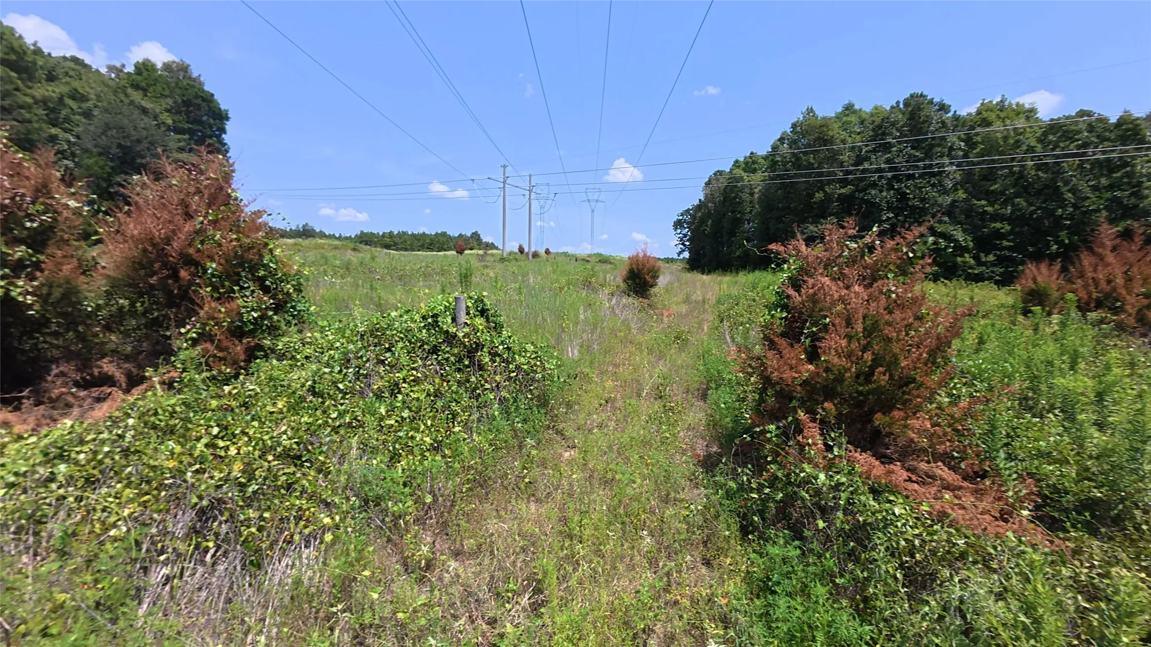 Unimproved Land For Sale in Camp County , TBD40 CR 4244, Pittsburg, Texas 75686, 0, 0, Garage spaces, 0 Sqft, built in 0, mls#21351401, Real Estate Agent in Pittsburg, Homes For Sale in Camp county, Homes For Sale in Pittsburg, Realtor in Pittsburg Texas, Real Estate Brokerage Independent Realty Texas, Luminita Cordes Realtor