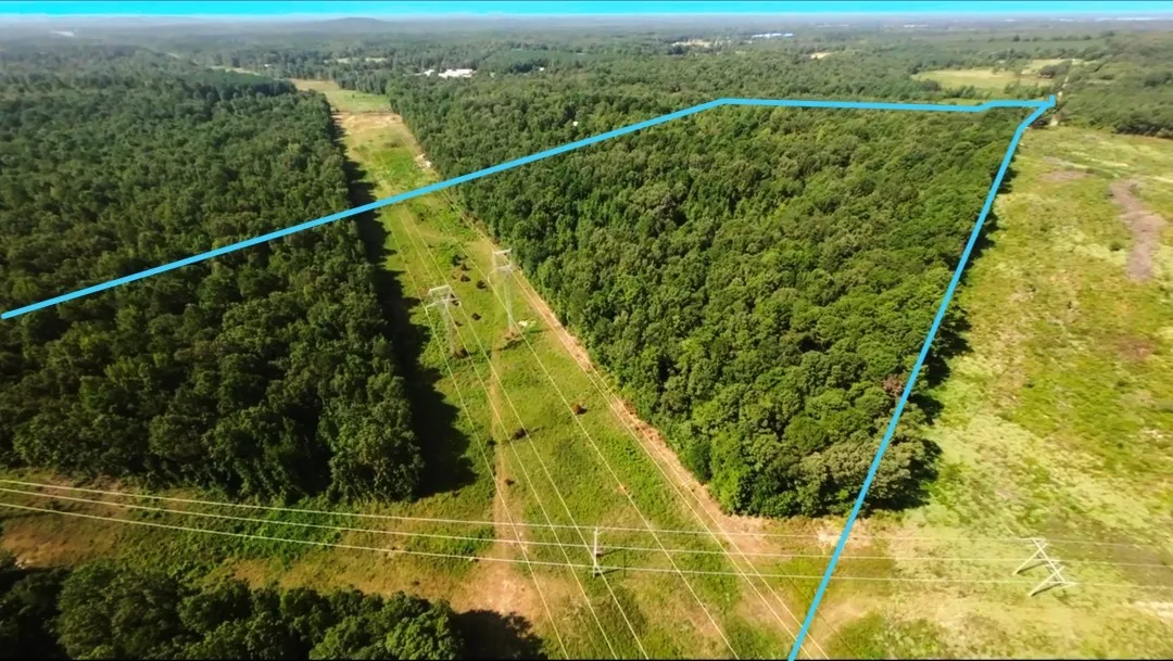 Unimproved Land For Sale in Camp County , TBD40 CR 4244, Pittsburg, Texas 75686, 0, 0, Garage spaces, 0 Sqft, built in 0, mls#21351401, Real Estate Agent in Pittsburg, Homes For Sale in Camp county, Homes For Sale in Pittsburg, Realtor in Pittsburg Texas, Real Estate Brokerage Independent Realty Texas, Luminita Cordes Realtor