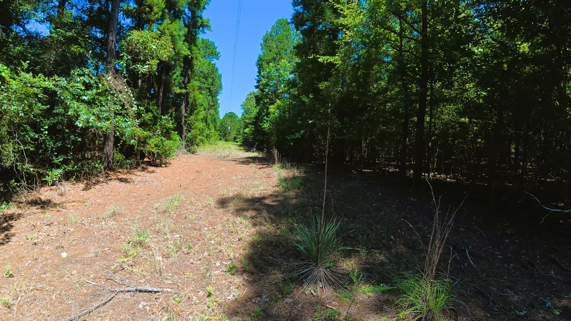Unimproved Land For Sale in Camp County , TBD40 CR 4244, Pittsburg, Texas 75686, 0, 0, Garage spaces, 0 Sqft, built in 0, mls#21351401, Real Estate Agent in Pittsburg, Homes For Sale in Camp county, Homes For Sale in Pittsburg, Realtor in Pittsburg Texas, Real Estate Brokerage Independent Realty Texas, Luminita Cordes Realtor