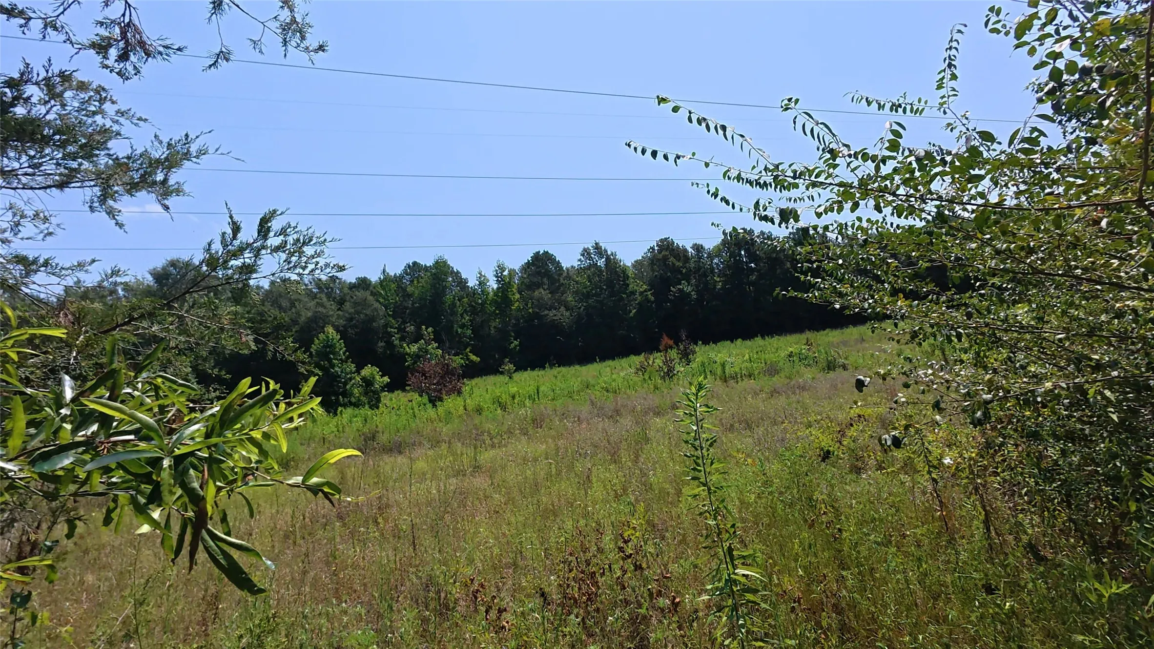 Unimproved Land For Sale in Camp County , TBD40 CR 4244, Pittsburg, Texas 75686, 0, 0, Garage spaces, 0 Sqft, built in 0, mls#21351401, Real Estate Agent in Pittsburg, Homes For Sale in Camp county, Homes For Sale in Pittsburg, Realtor in Pittsburg Texas, Real Estate Brokerage Independent Realty Texas, Luminita Cordes Realtor
