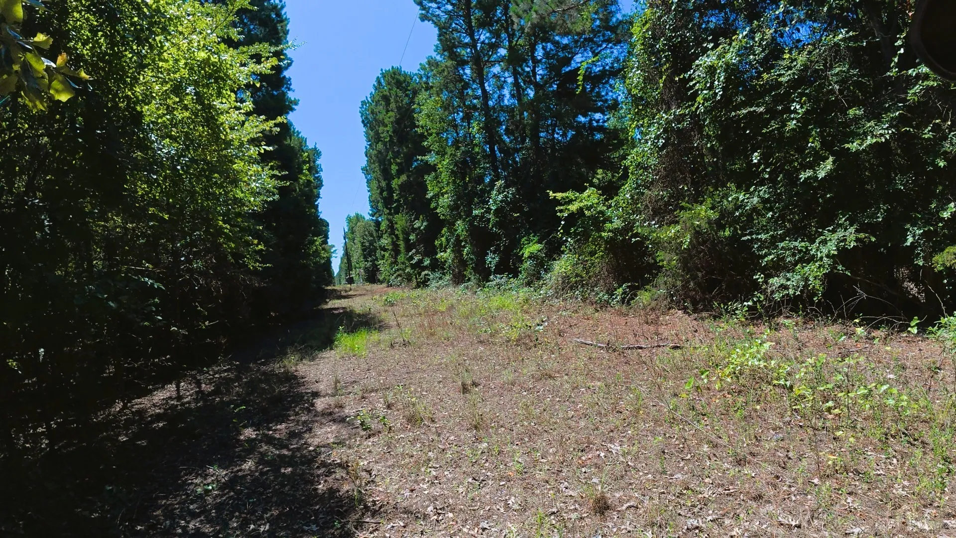 Unimproved Land For Sale in Camp County , TBD40 CR 4244, Pittsburg, Texas 75686, 0, 0, Garage spaces, 0 Sqft, built in 0, mls#21351401, Real Estate Agent in Pittsburg, Homes For Sale in Camp county, Homes For Sale in Pittsburg, Realtor in Pittsburg Texas, Real Estate Brokerage Independent Realty Texas, Luminita Cordes Realtor