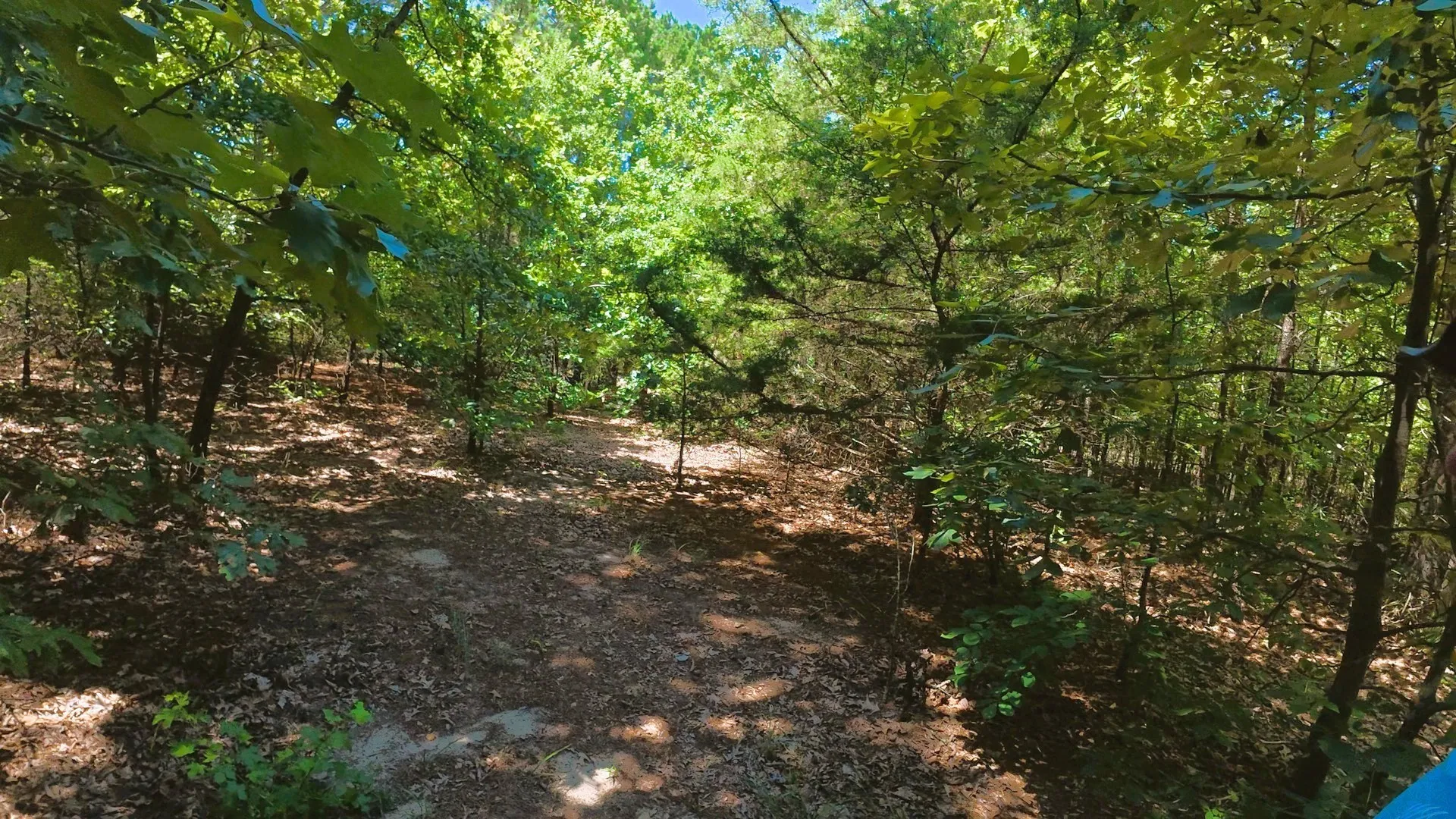 Unimproved Land For Sale in Camp County , TBD40 CR 4244, Pittsburg, Texas 75686, 0, 0, Garage spaces, 0 Sqft, built in 0, mls#21351401, Real Estate Agent in Pittsburg, Homes For Sale in Camp county, Homes For Sale in Pittsburg, Realtor in Pittsburg Texas, Real Estate Brokerage Independent Realty Texas, Luminita Cordes Realtor