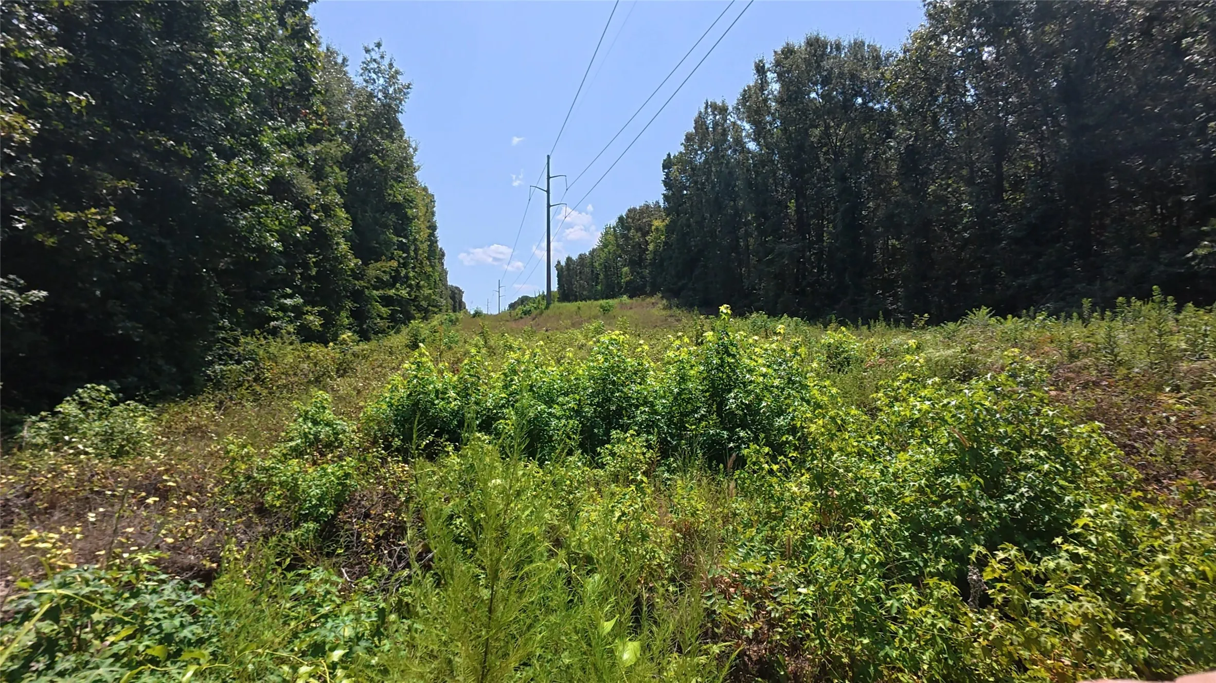 Unimproved Land For Sale in Camp County , TBD40 CR 4244, Pittsburg, Texas 75686, 0, 0, Garage spaces, 0 Sqft, built in 0, mls#21351401, Real Estate Agent in Pittsburg, Homes For Sale in Camp county, Homes For Sale in Pittsburg, Realtor in Pittsburg Texas, Real Estate Brokerage Independent Realty Texas, Luminita Cordes Realtor