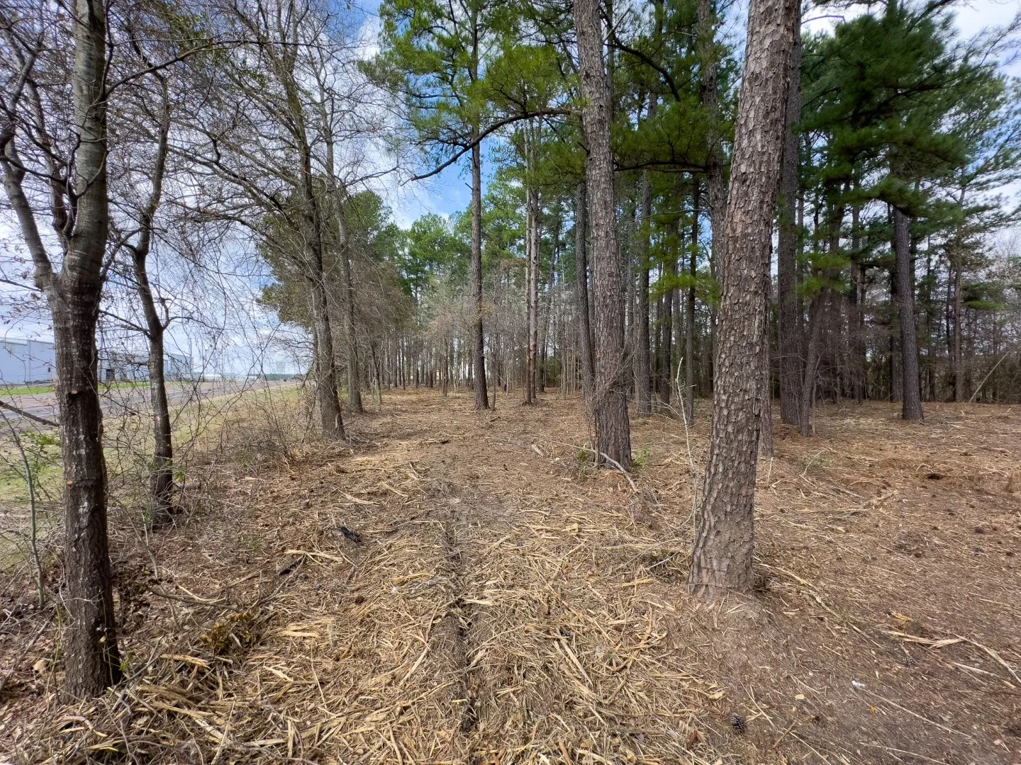 Unimproved Land For Sale in Gregg County , 3363 Fm 349, Kilgore, Texas 75662, 0, 0, Garage spaces, 0 Sqft, built in 0, Price $295,000, mls#21351426, Real Estate Agent in Kilgore, Homes For Sale in Gregg county, Homes For Sale in Kilgore, Realtor in Kilgore Texas, Real Estate Brokerage Independent Realty Texas, Luminita Cordes Realtor