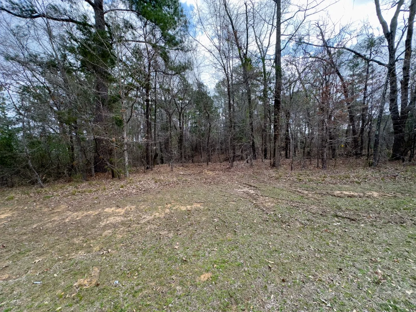 Unimproved Land For Sale in Gregg County , 3363 Fm 349, Kilgore, Texas 75662, 0, 0, Garage spaces, 0 Sqft, built in 0, Price $295,000, mls#21351426, Real Estate Agent in Kilgore, Homes For Sale in Gregg county, Homes For Sale in Kilgore, Realtor in Kilgore Texas, Real Estate Brokerage Independent Realty Texas, Luminita Cordes Realtor