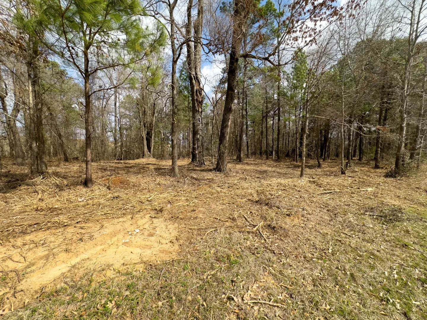 Unimproved Land For Sale in Gregg County , 3363 Fm 349, Kilgore, Texas 75662, 0, 0, Garage spaces, 0 Sqft, built in 0, Price $295,000, mls#21351426, Real Estate Agent in Kilgore, Homes For Sale in Gregg county, Homes For Sale in Kilgore, Realtor in Kilgore Texas, Real Estate Brokerage Independent Realty Texas, Luminita Cordes Realtor