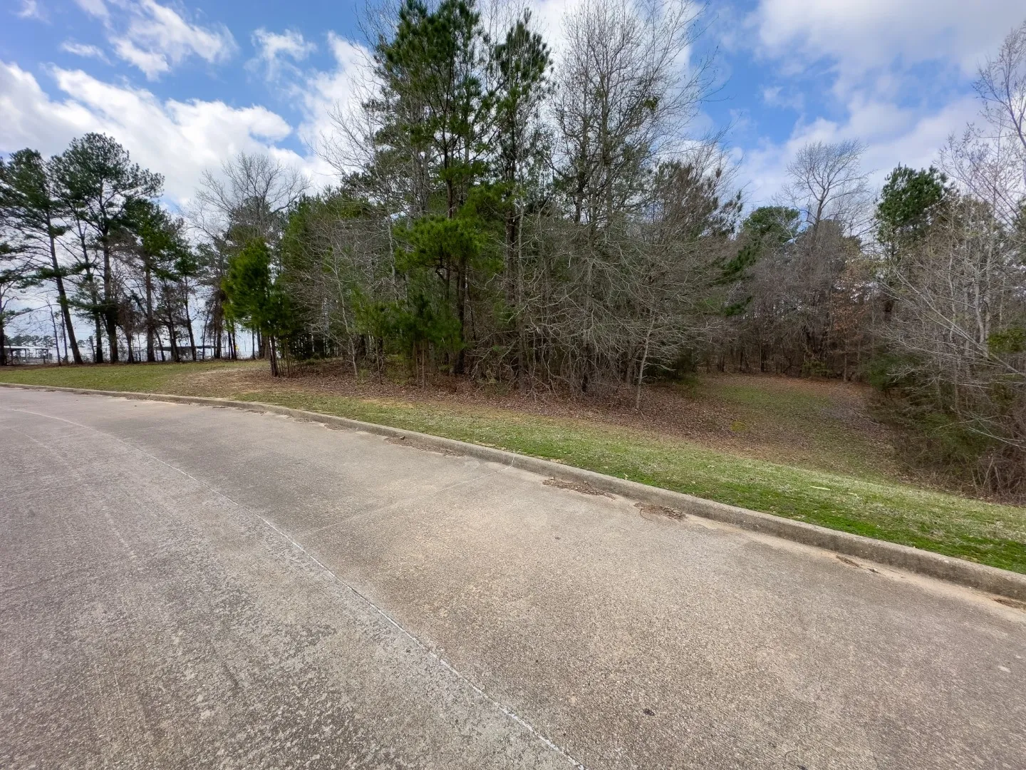 Unimproved Land For Sale in Gregg County , 3363 Fm 349, Kilgore, Texas 75662, 0, 0, Garage spaces, 0 Sqft, built in 0, Price $295,000, mls#21351426, Real Estate Agent in Kilgore, Homes For Sale in Gregg county, Homes For Sale in Kilgore, Realtor in Kilgore Texas, Real Estate Brokerage Independent Realty Texas, Luminita Cordes Realtor