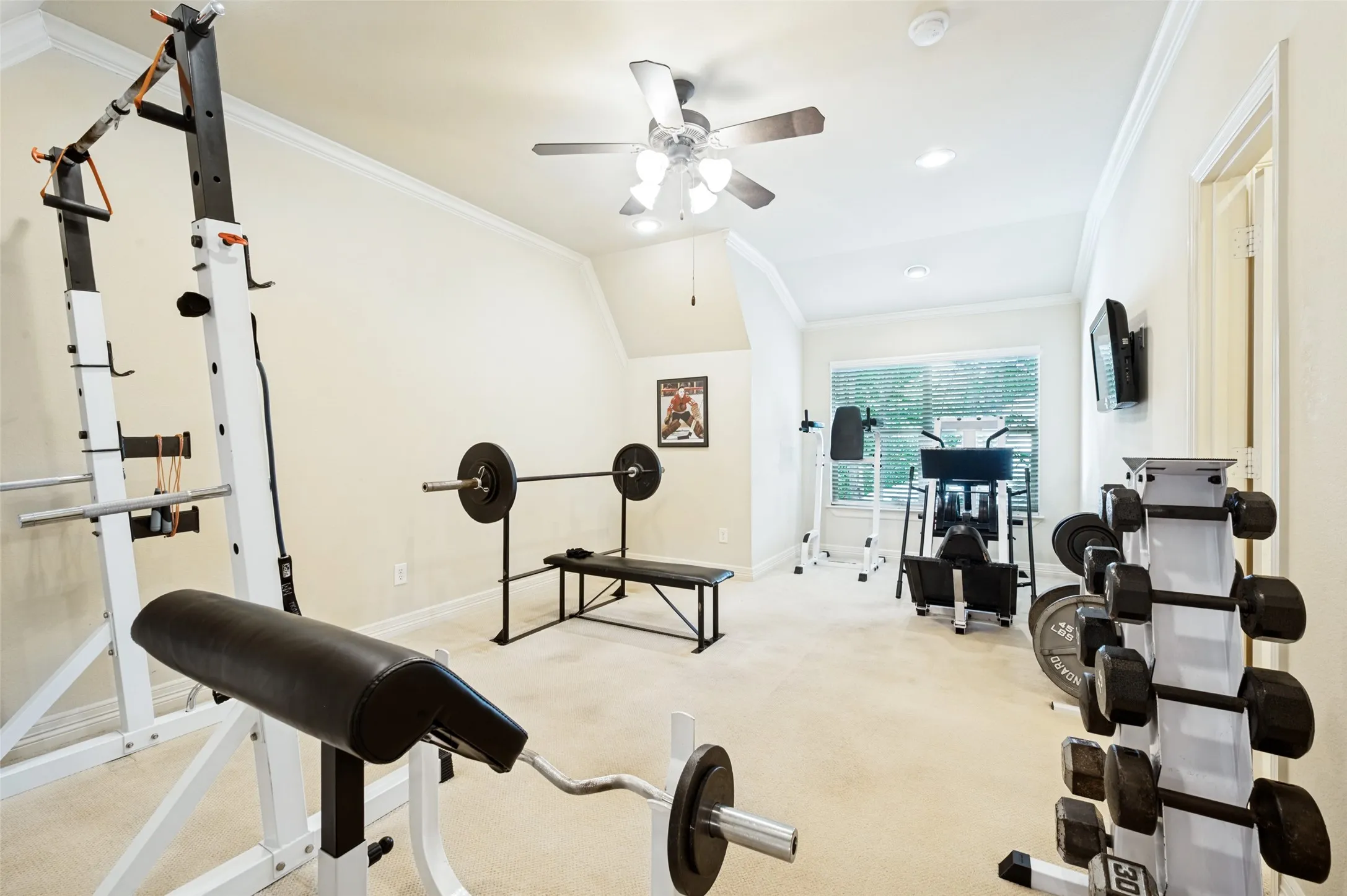 Spacious room featuring vaulted ceilings, crown molding, a ceiling fan with light fixture, carpet flooring, and a large window with blinds