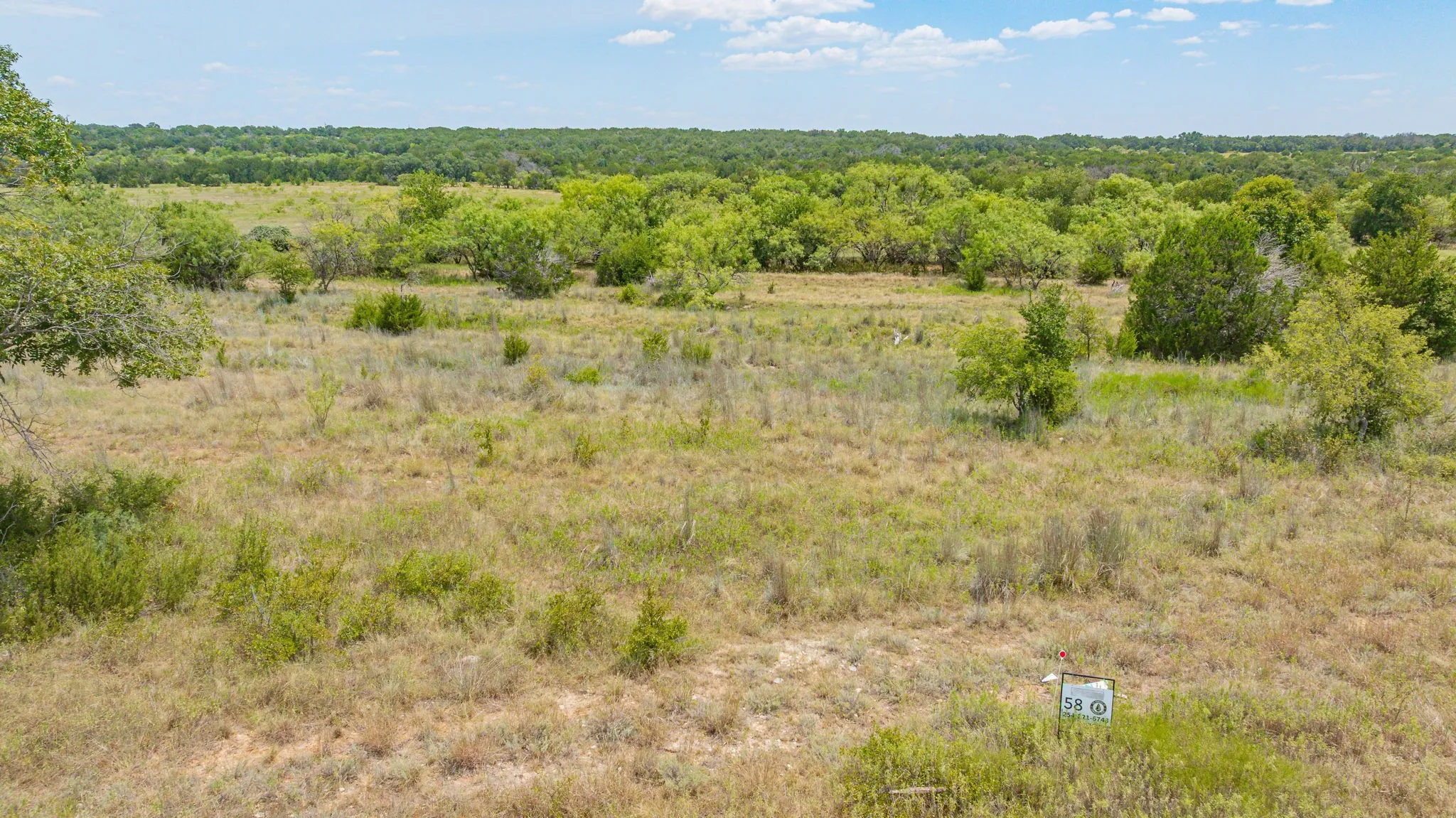 Expansive lot featuring varied vegetation, mature trees, and a distant tree line