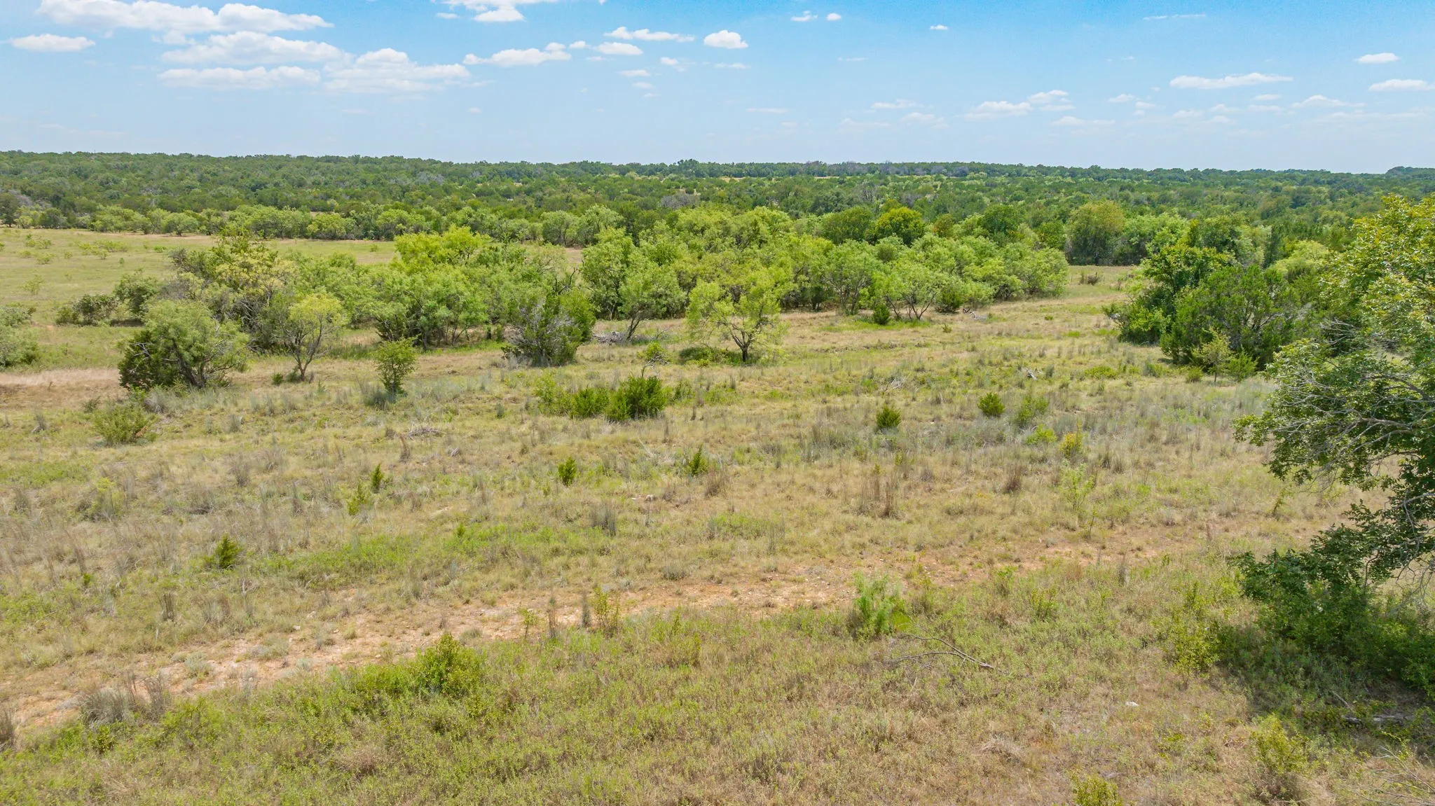 Unimproved Land For Sale in Comanche County , TBD Private Road 1271, Carlton, Texas 76436, 0, 0, Garage spaces, 0 Sqft, built in 0, Price $85,000, mls#21351326, Real Estate Agent in Carlton, Homes For Sale in Comanche county, Homes For Sale in Carlton, Realtor in Carlton Texas, Real Estate Brokerage Independent Realty Texas, Luminita Cordes Realtor
