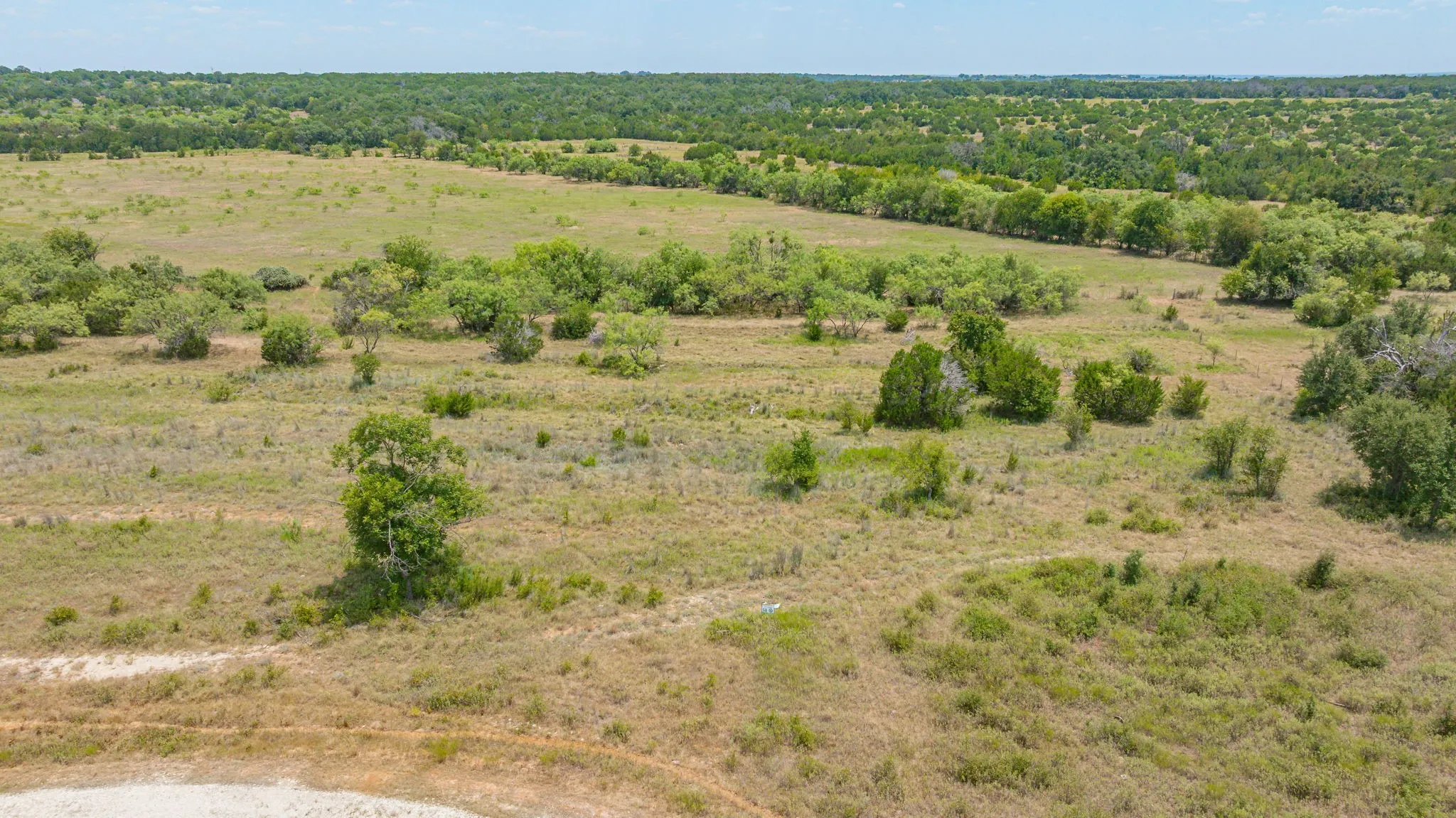 Expansive rural landscape featuring a mix of open grassy areas and clusters of mature trees