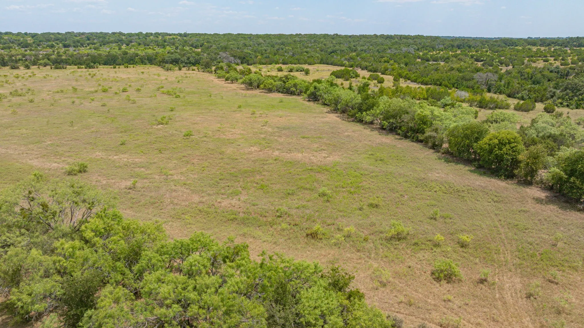 Expansive open pastureland with scattered brush and mature tree lines